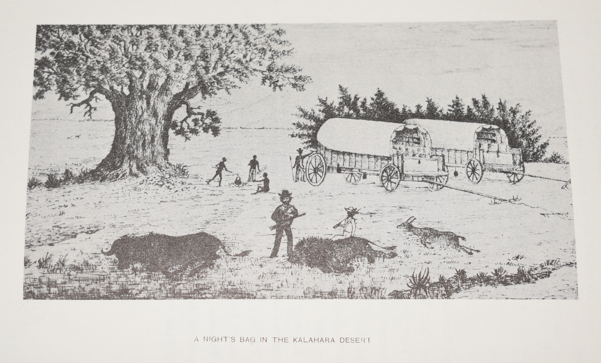 Twenty-Five Years in a Waggon. Sport and Travel in South Africa Limited number 88/1000