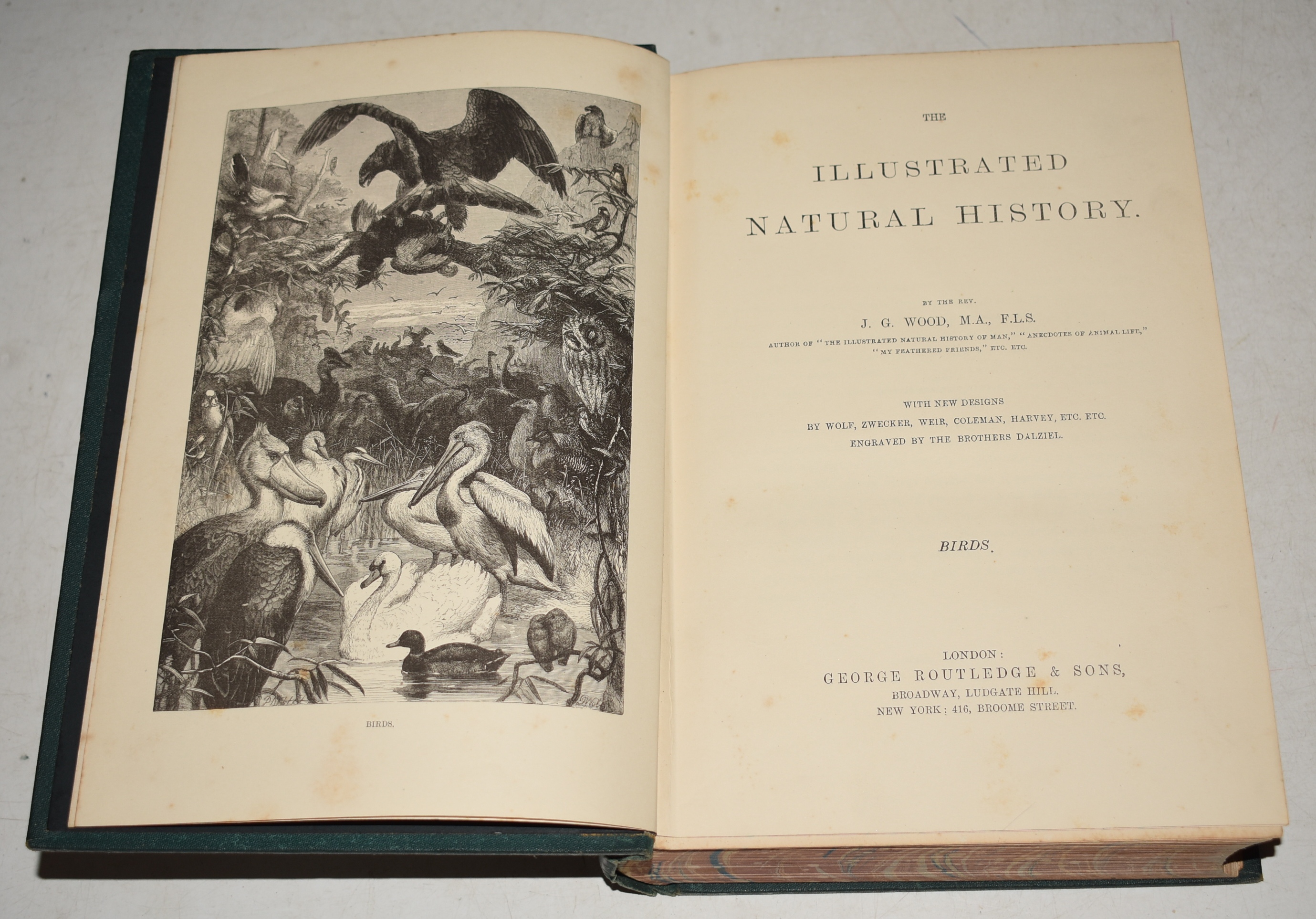 The Illustrated Natural History: Mammalia. Birds. Reptiles etc.; With new designs by Wolf, Zwecker, Weir, Coleman, Harvey, and others engraved by the Brothers Dalziel. In Three Volumes.