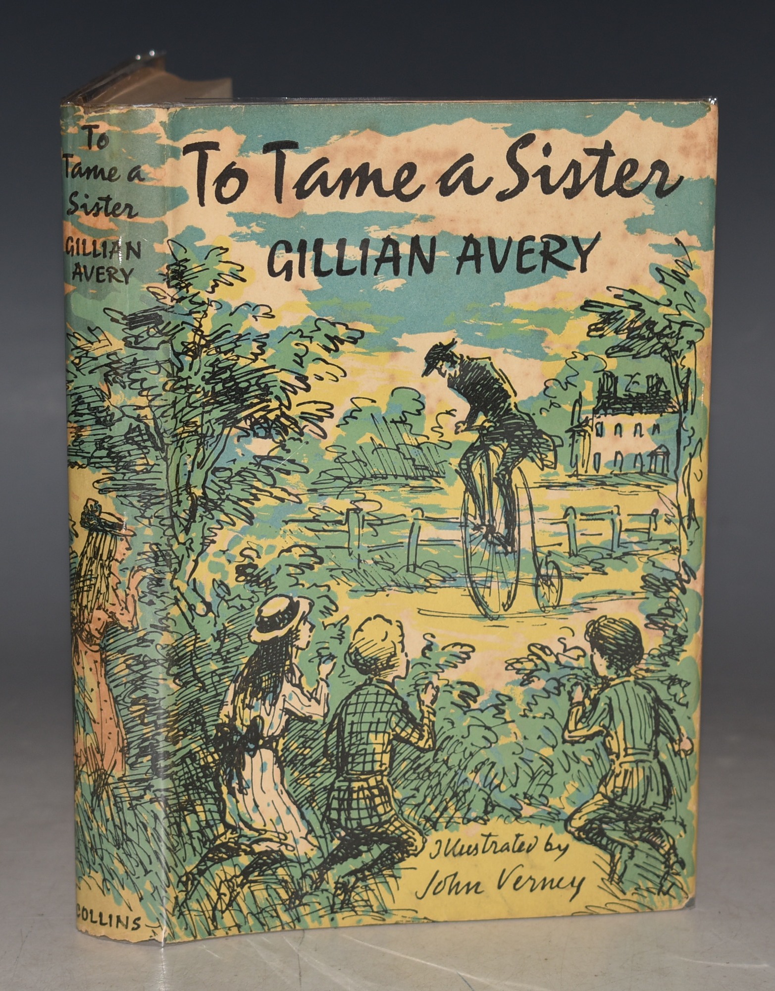 To Tame a Sister Illustrated by John Verney