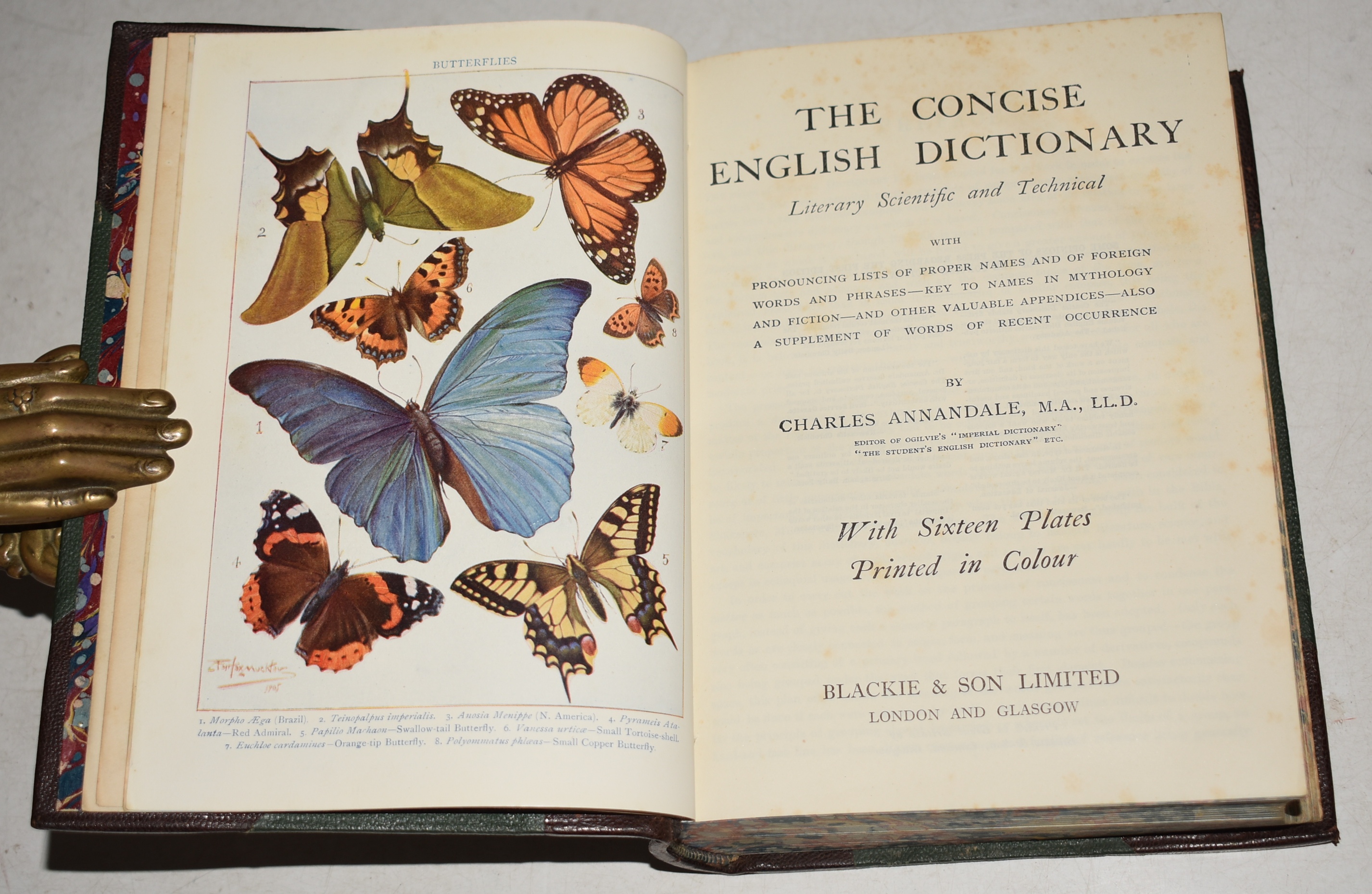 The Concise English Dictionary, Literary, Scientific and Technical. With Sixteen Plates printed in Colour.