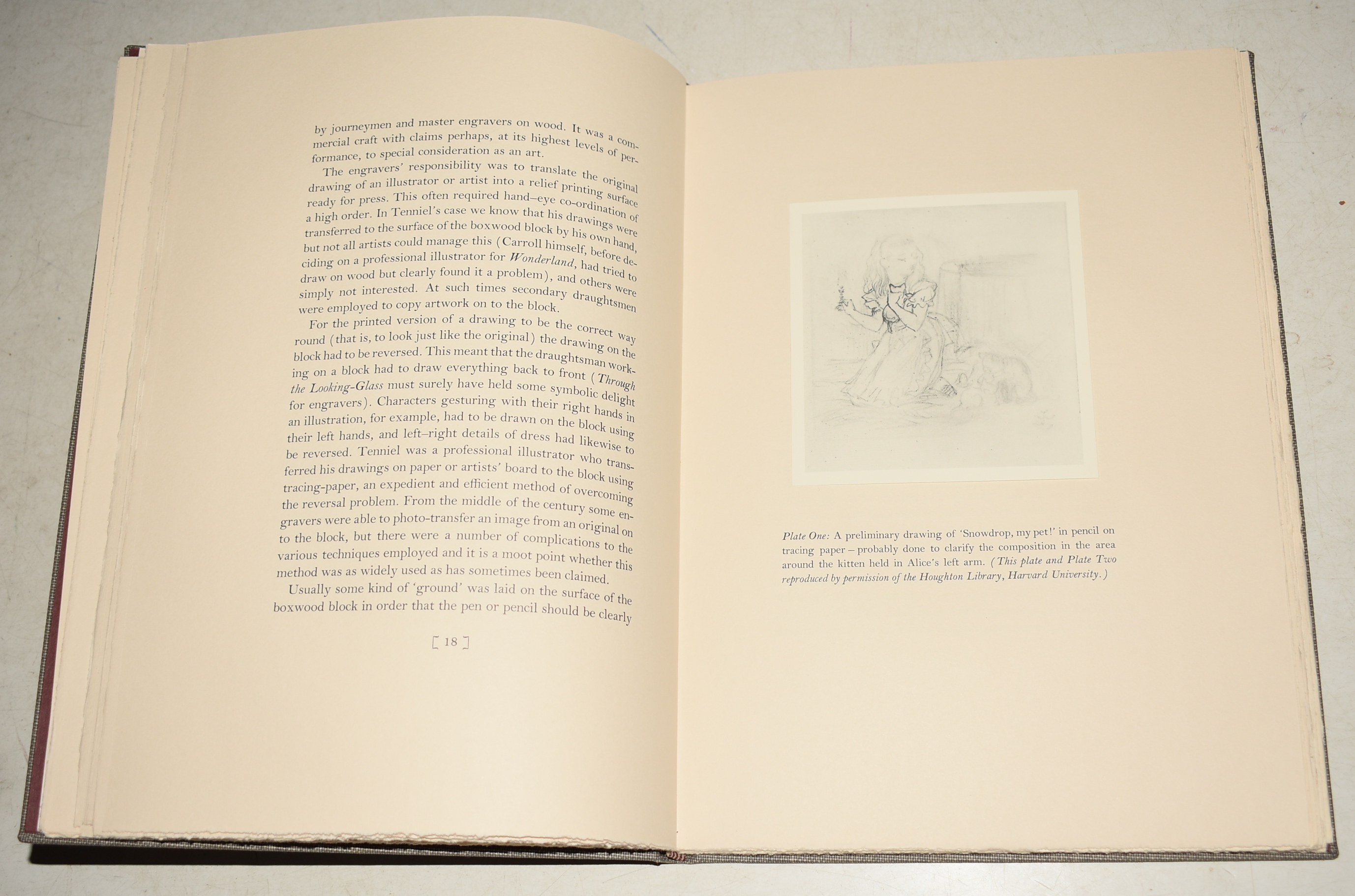 Sir John Tenniel's Illustrations to Alice's Adventures in Wonderland & Through the Looking-Glass. Ninety-one Prints from the Original Wood Blocks engraved by the Brothers Dalziel from Drawings by Sir John Tenniel & One Print from an Electrotype. Together with a small companion volume by Leo 