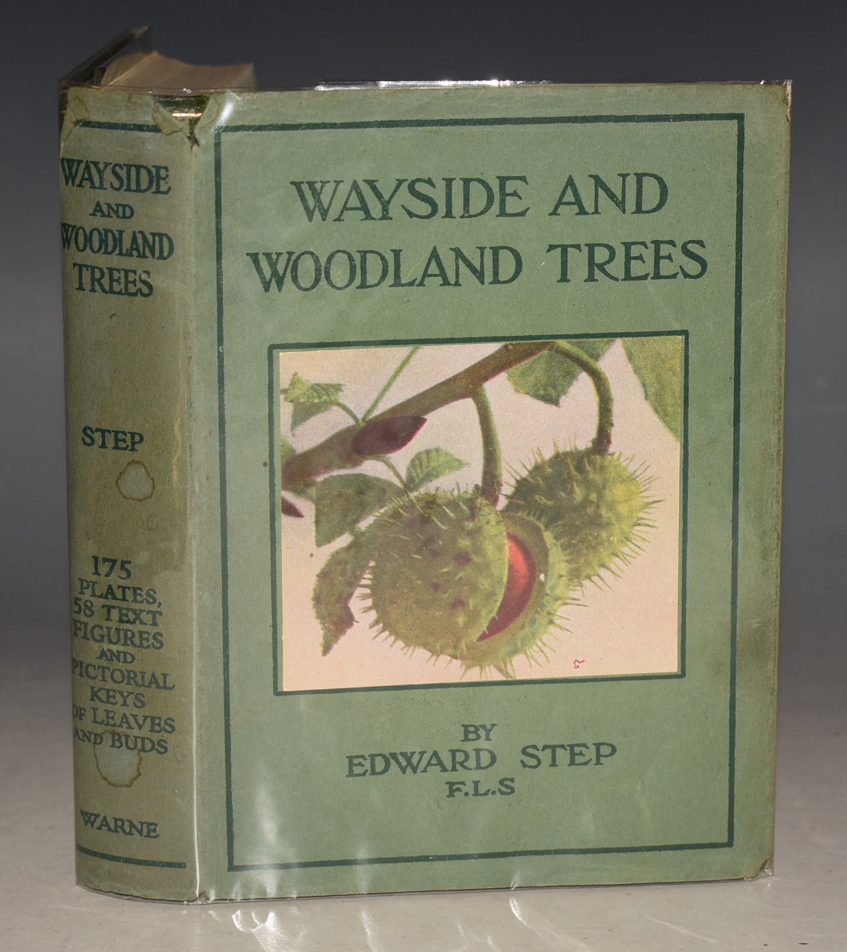 Wayside & Woodland Trees. A Pocket Guide to the British Sylva. The Wayside & Woodland Series.