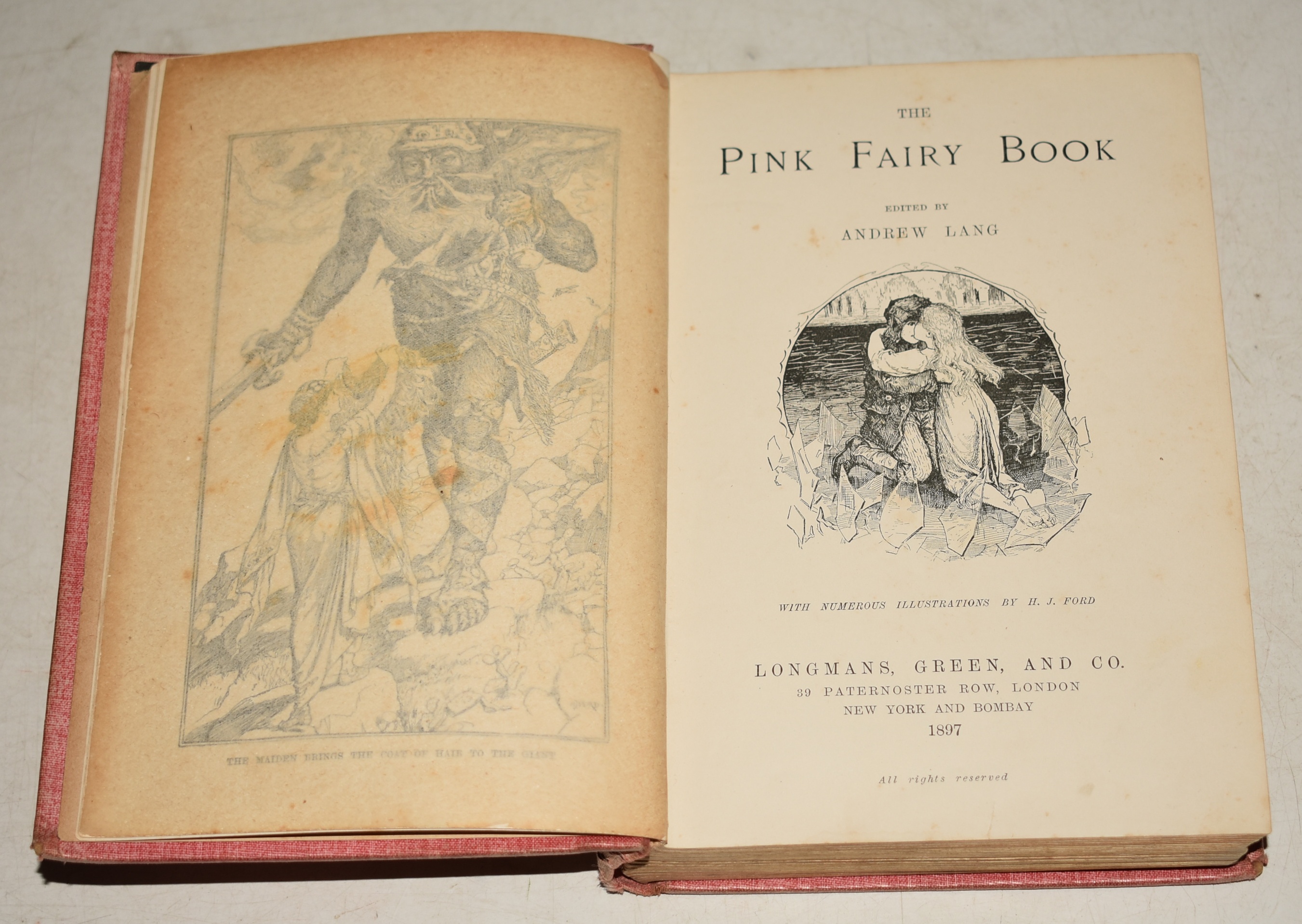The Pink Fairy Book.