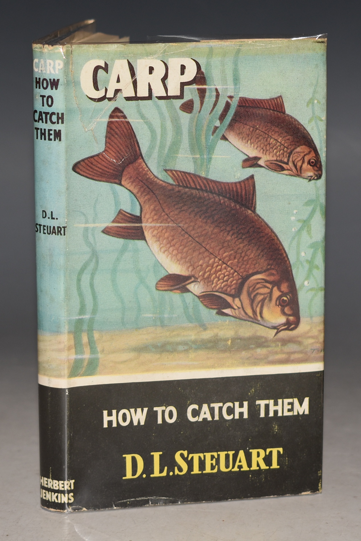 Carp How to Catch Them