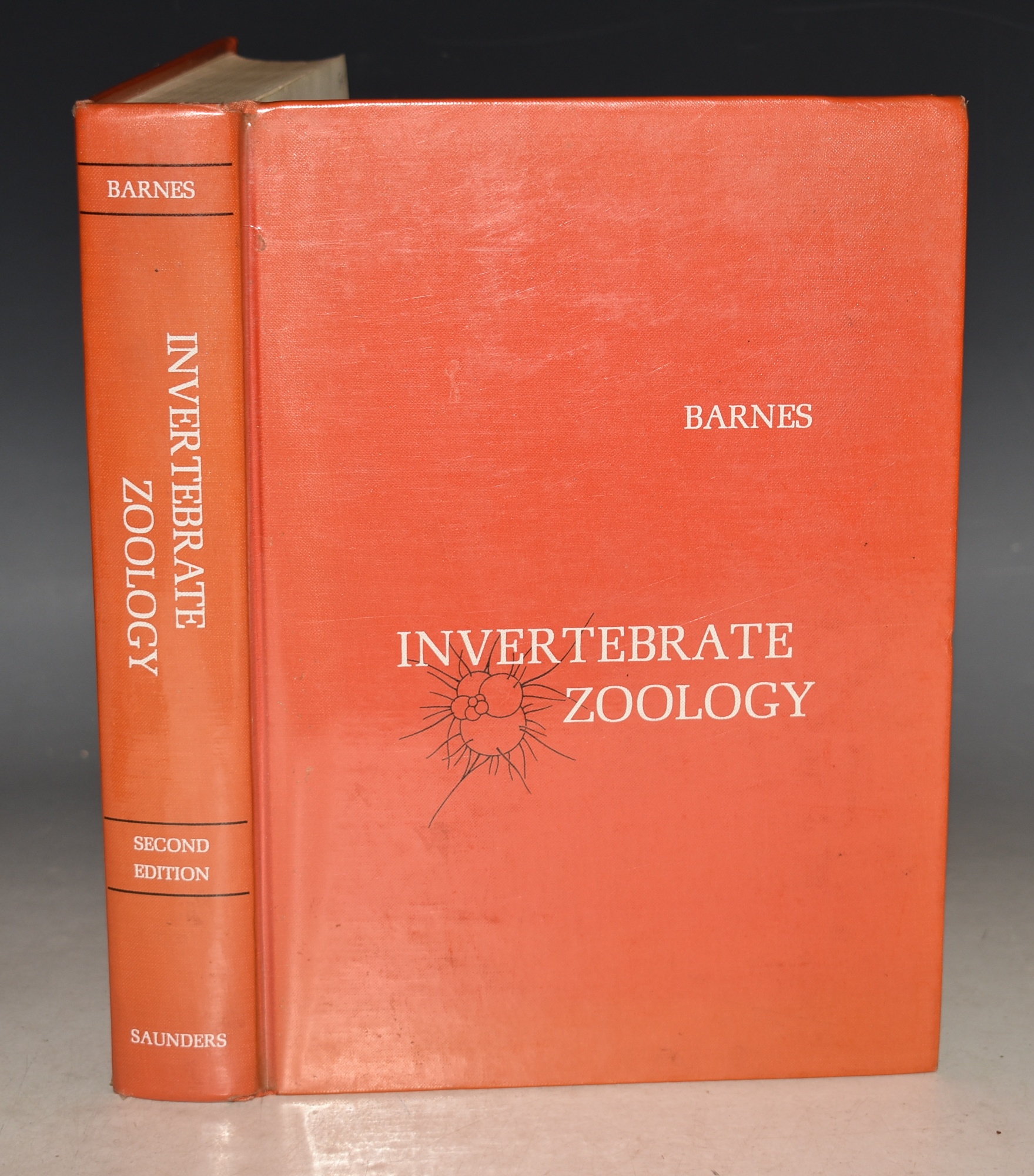 Invertebrate Zoology