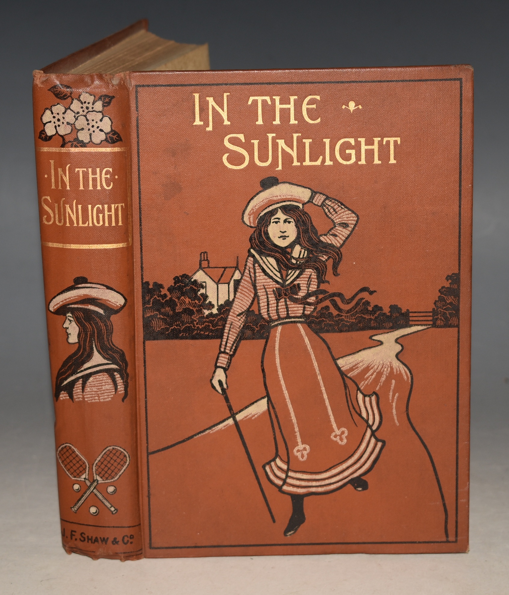 In the Sunlight and Out of It. A Year of My Life-Story