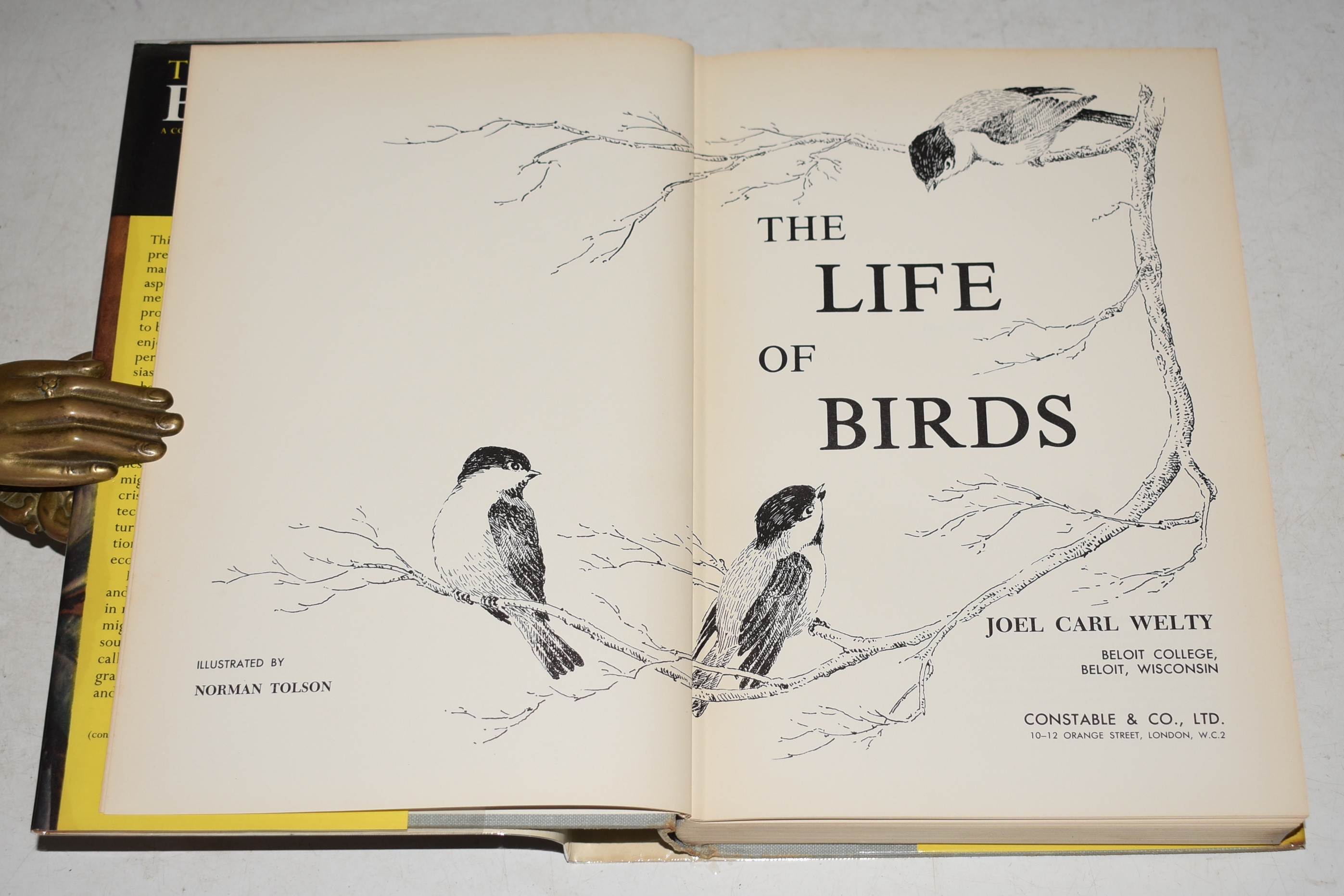 The life of Birds. A Comprehensive Survey.