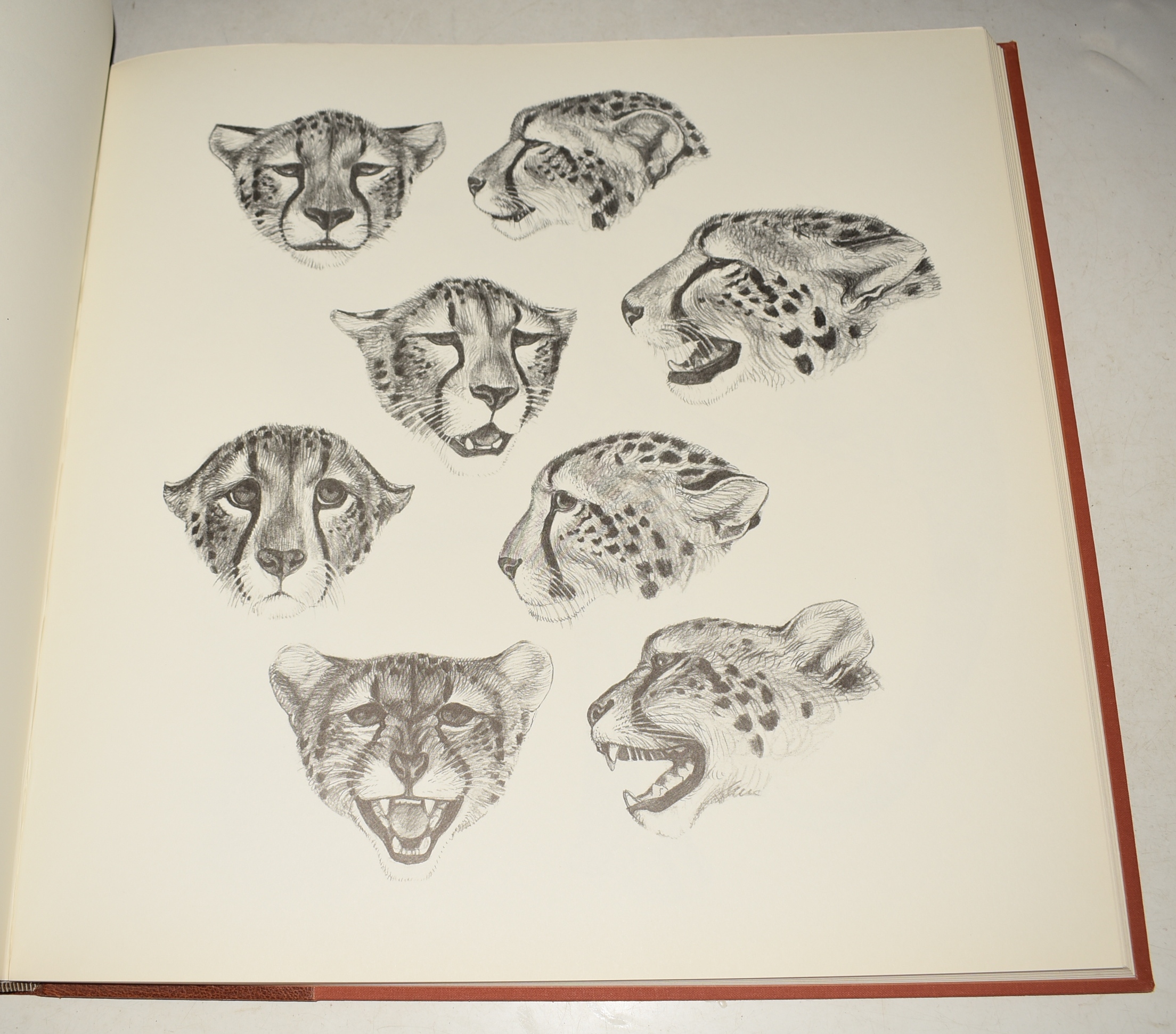 African Mammal Drawings The Wellcome Volume. SIGNED DE LUXE LIMITED EDITION.
