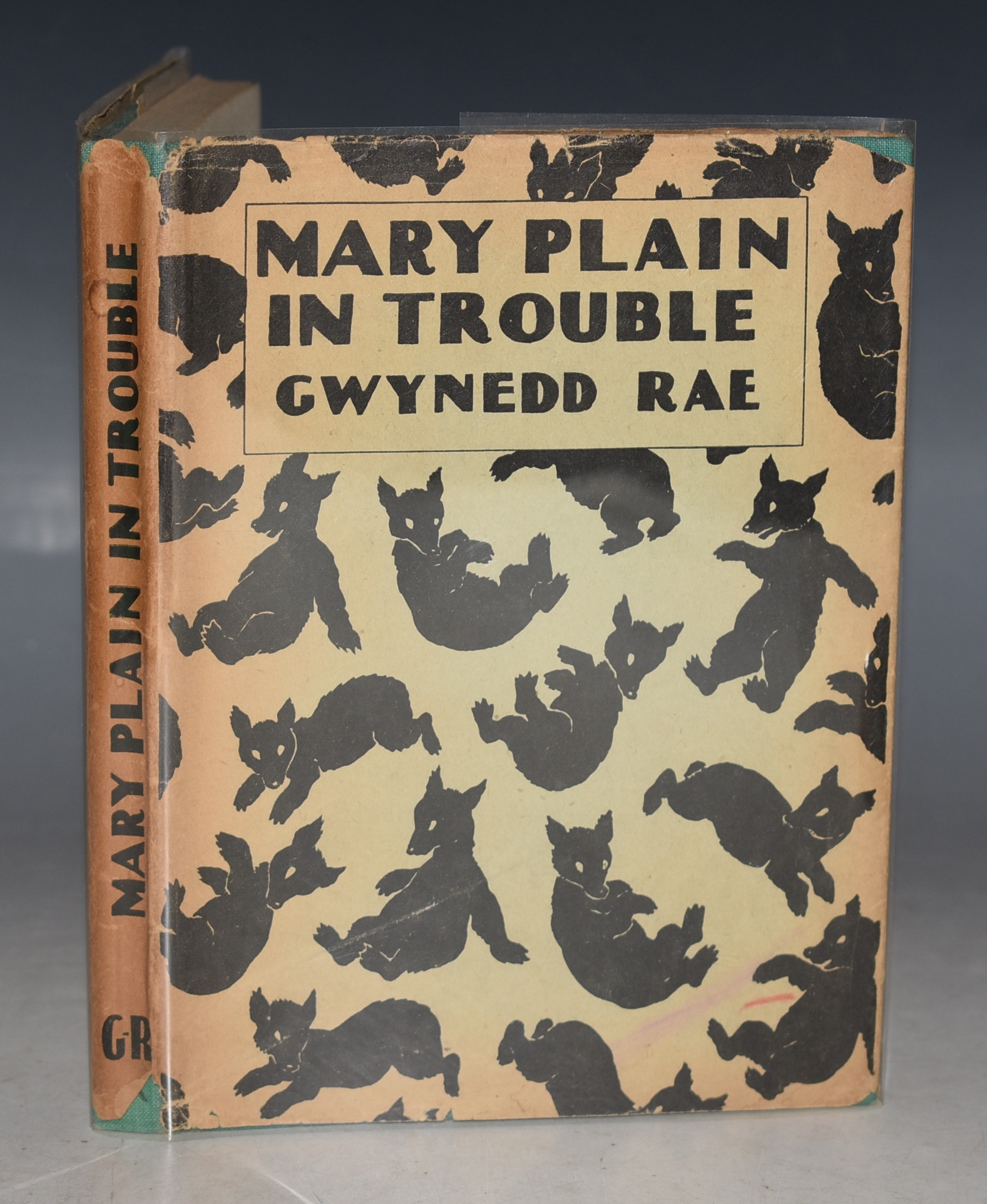 Mary Plain In Trouble With illustrations by Irene Williamson.