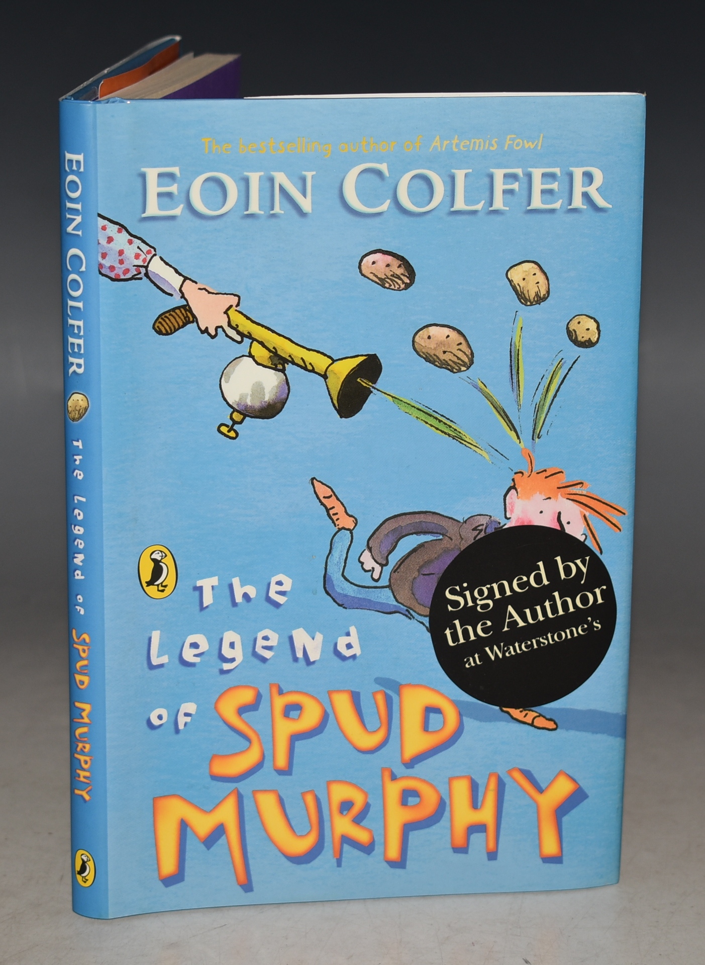 Don Quixote SIGNED by Author and Illustrator Retold by Martin Jenkins. Illustrated by Chris Riddell SIGNED by Author and Illustrator