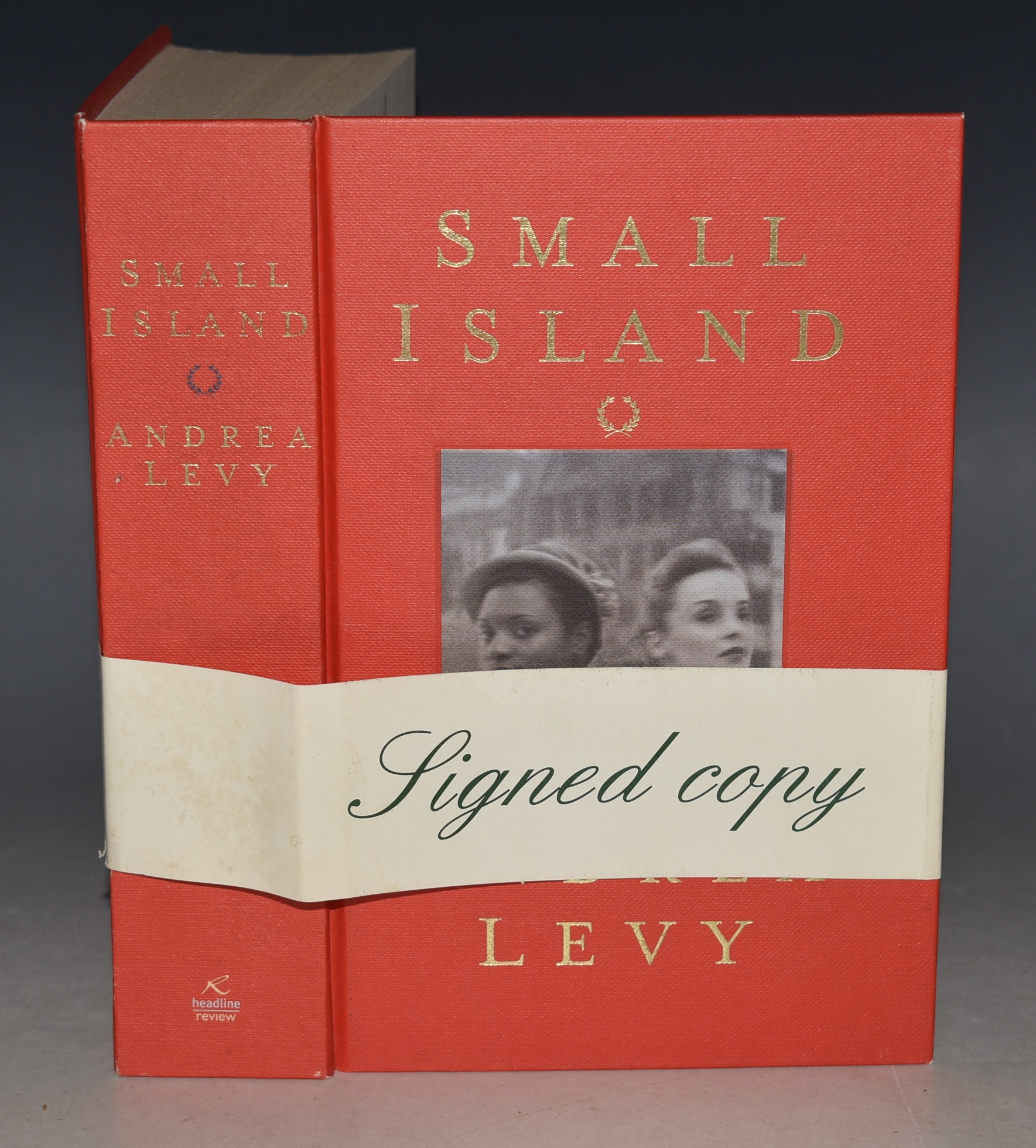 Small Island SIGNED by author