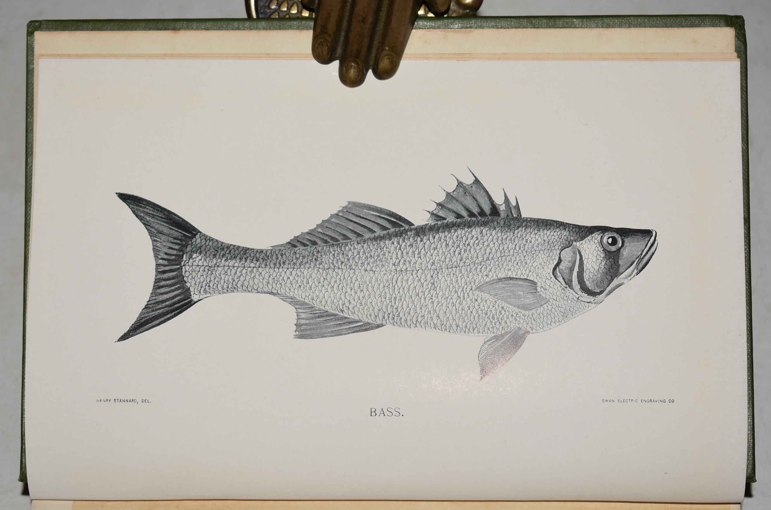Sea-Fish An Account of the Methods of Angling as Practised on the English Coast, with Notes on the Capture of the Most Sporting Fishes in Continental, South African, and Australian Waters. With Contributions by Various Hands. The Angler&rsquo;s Library Vol. II.