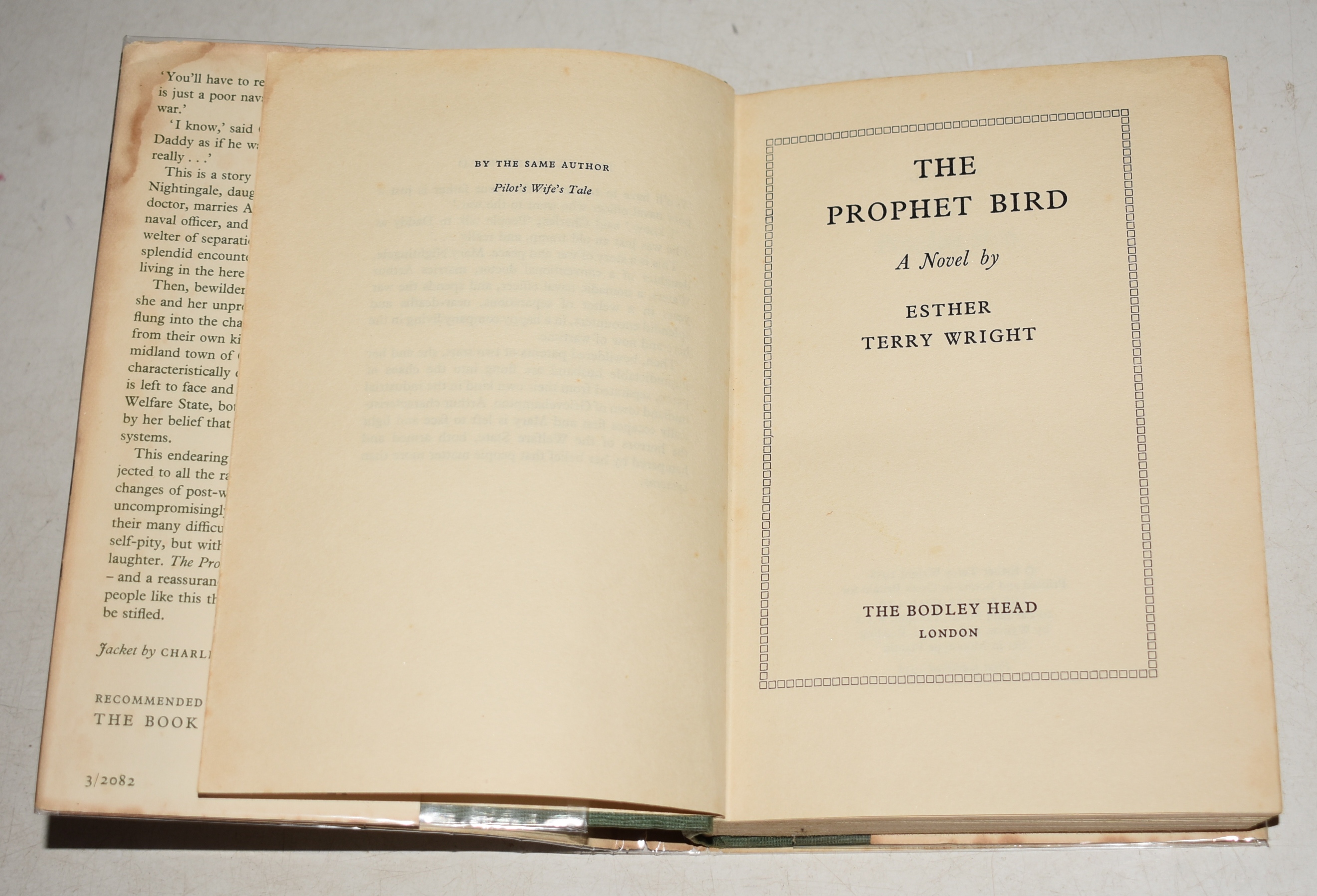 The Prophet Bird A Novel.