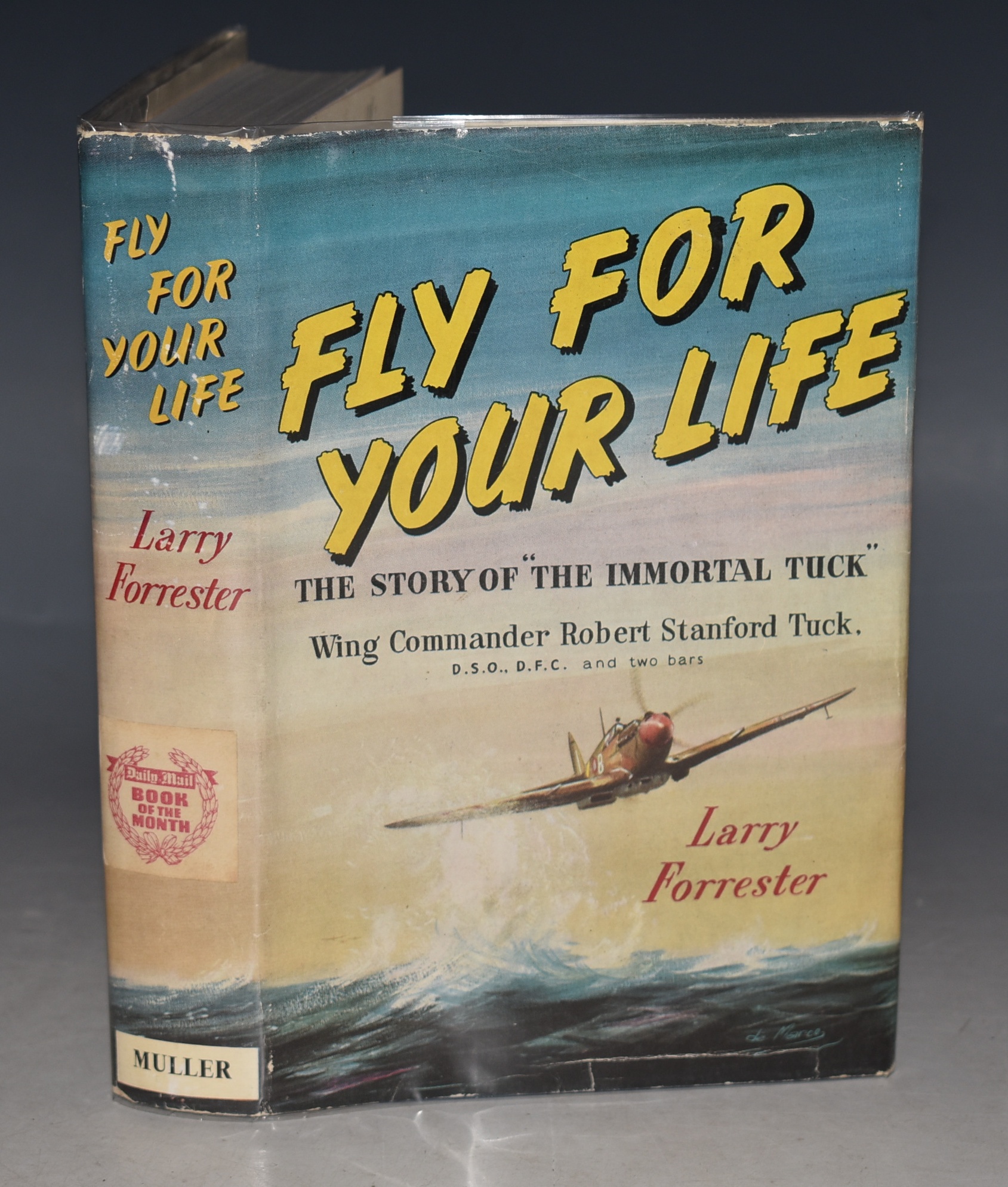 Fly for Your Life The Story of &ldquo;The Immortal Tuck&rdquo;. Wing Commander Robert Stanford Tuck.