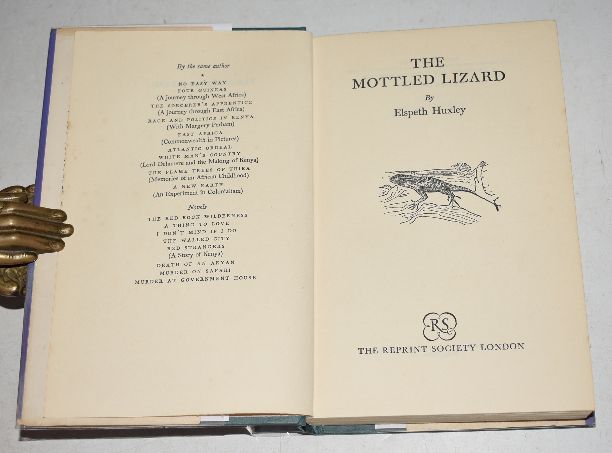 The Mottled Lizard