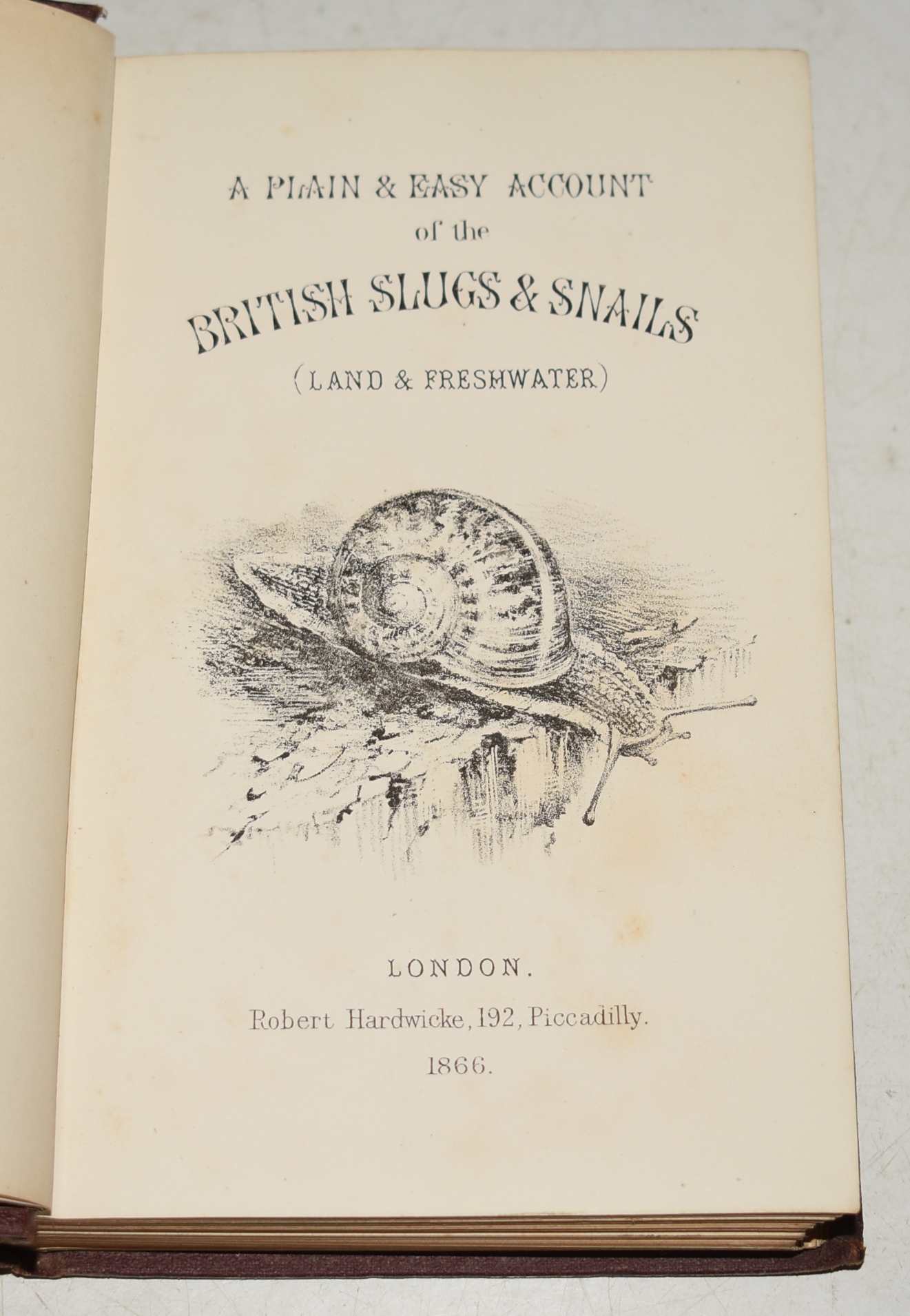 A Plain and Easy Account of The Land and Fresh-Water Mollusks (British Slugs & Snails) of Great Britain; Containing Descriptions, Figures, and a Familiar Account of the Habits of Each Species.