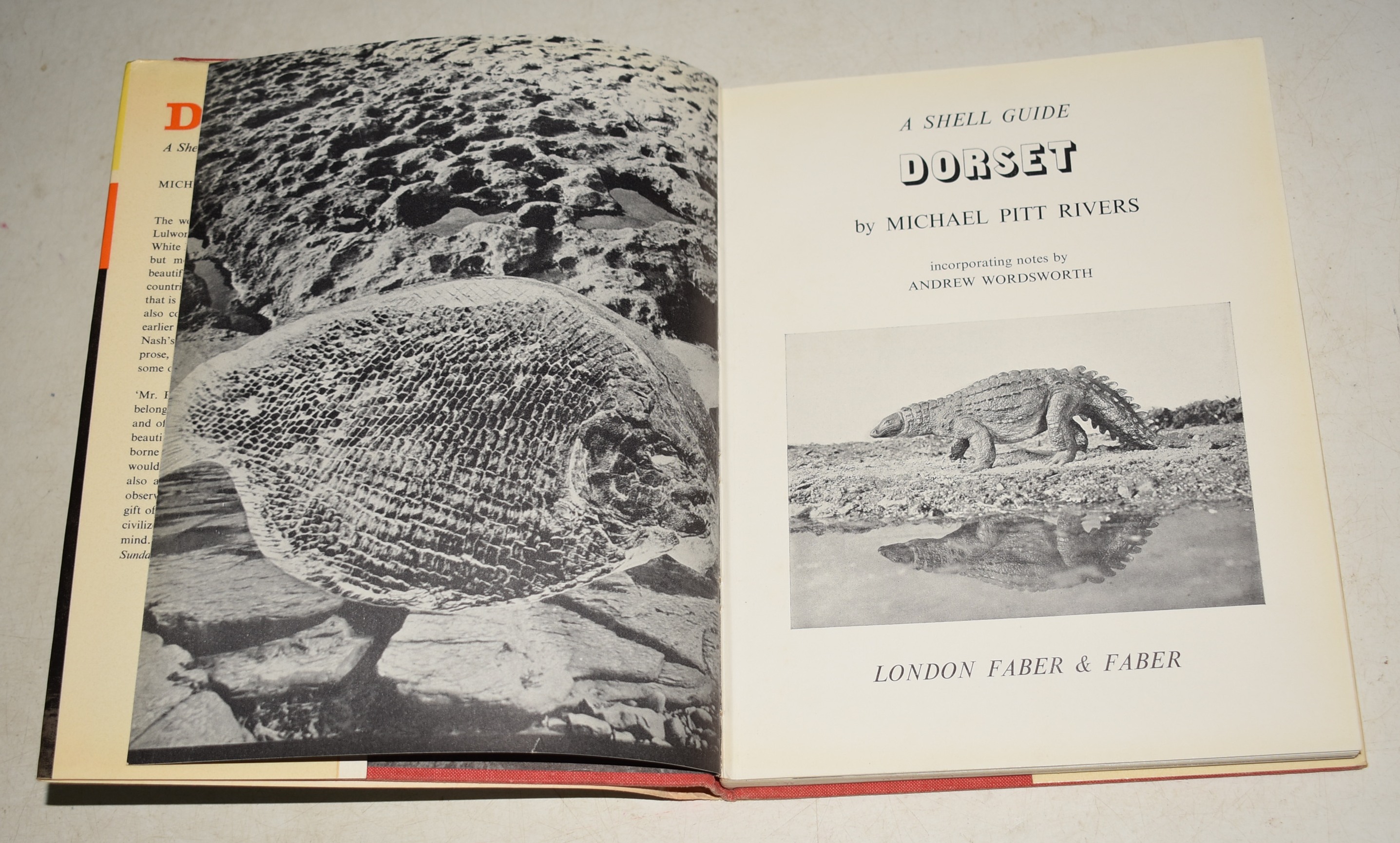 Dorset. A Shell Guide. Incorporating notes by Andrew Wadsworth.