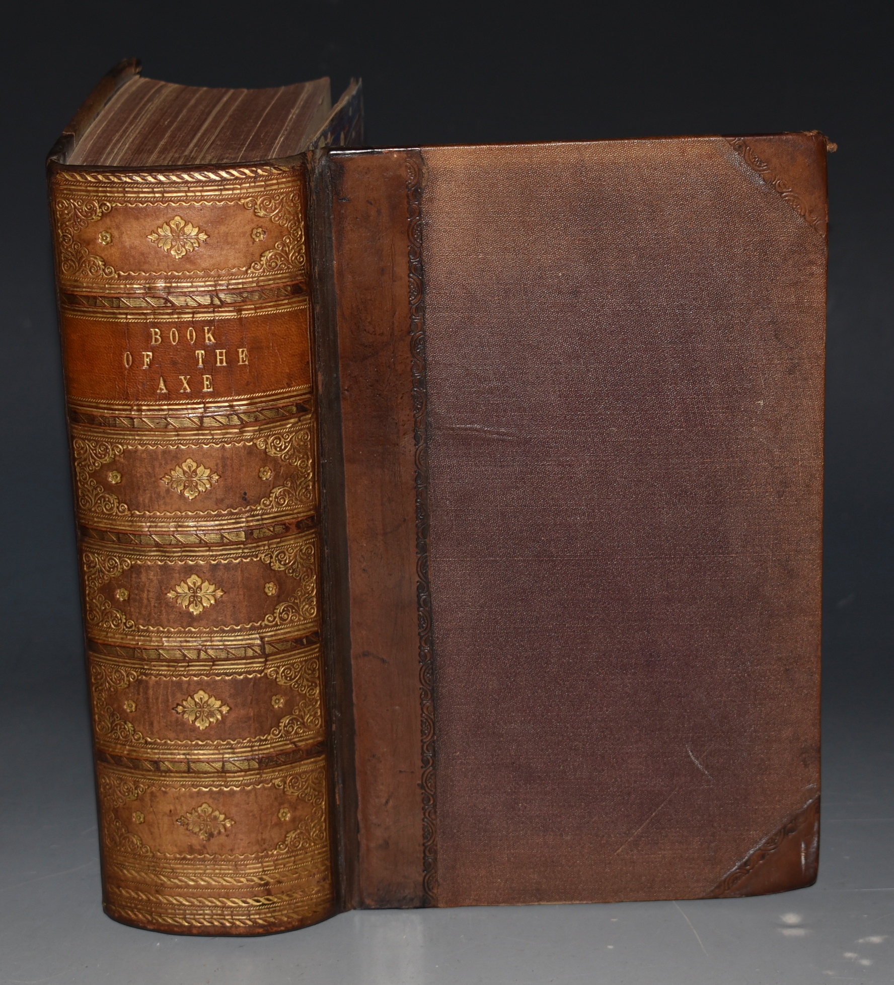 The Book of the Axe. Containing a piscatorial Description of that ...