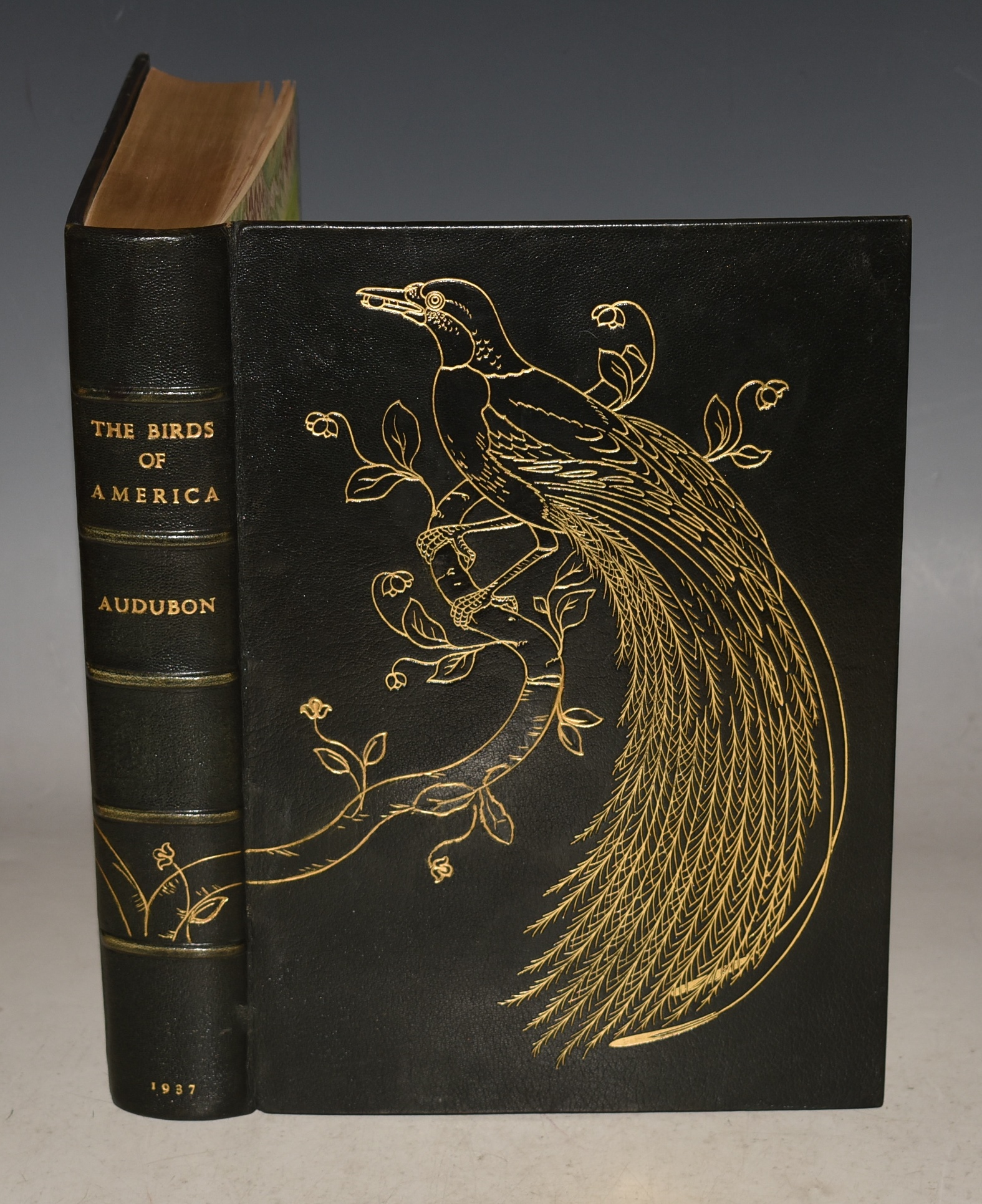 The Birds of America. With an Introduction and Descriptive Text by William Vogt. This copy has been transformed into a true collector's item with a beautifully gold-tooled full leather binding by Bayntun Riviere.