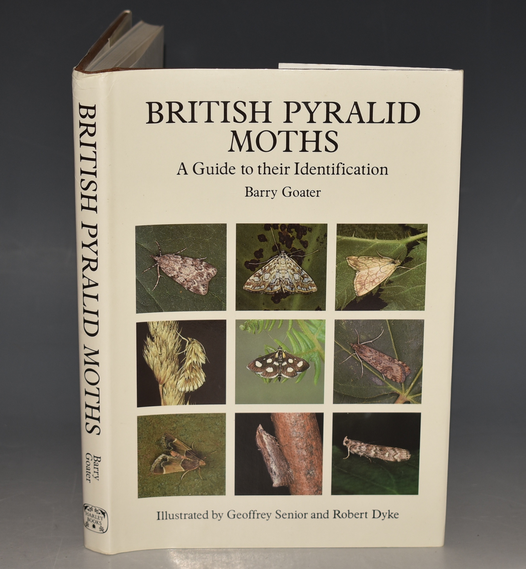British Pyralid Moths. A Guide to Their Identification