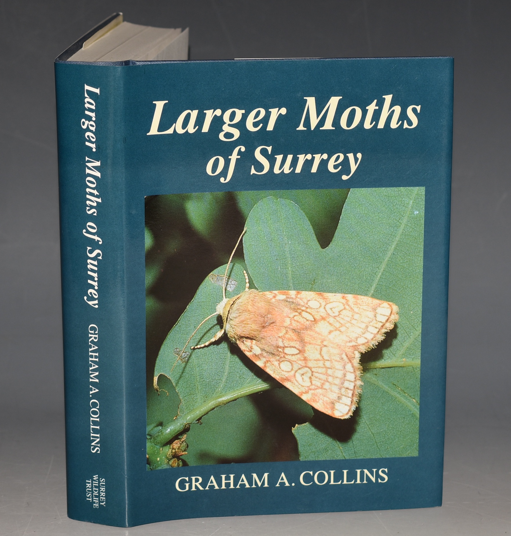 Larger Moths of Surrey