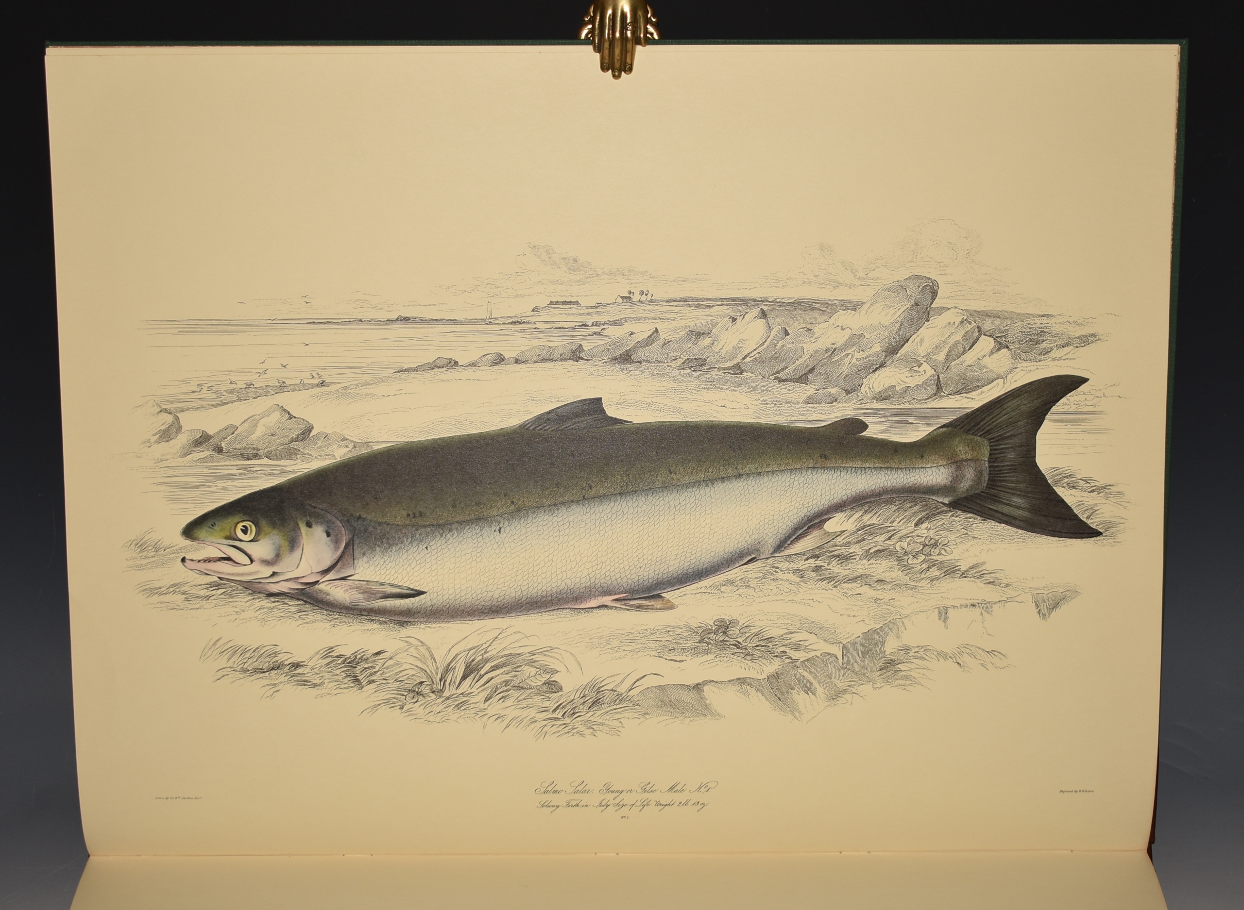 British Salmonidae. Elephant Folio. Limited Numbered Facsimile Edition.