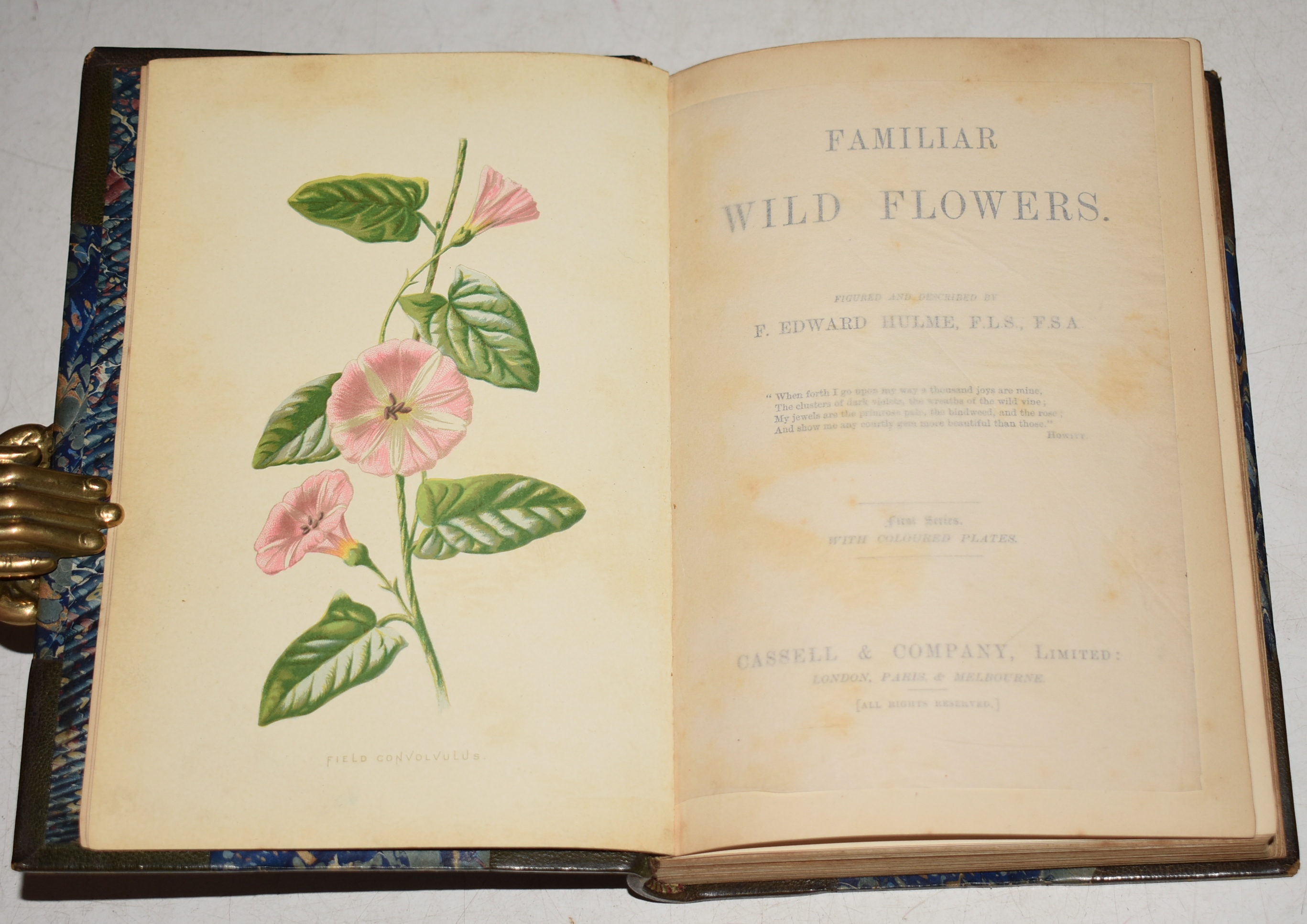Familiar Wild Flowers. Figured and Described by F.Edward Hulme. Five volumes with coloured plates. First to Fifth Series. In Fine Binding.