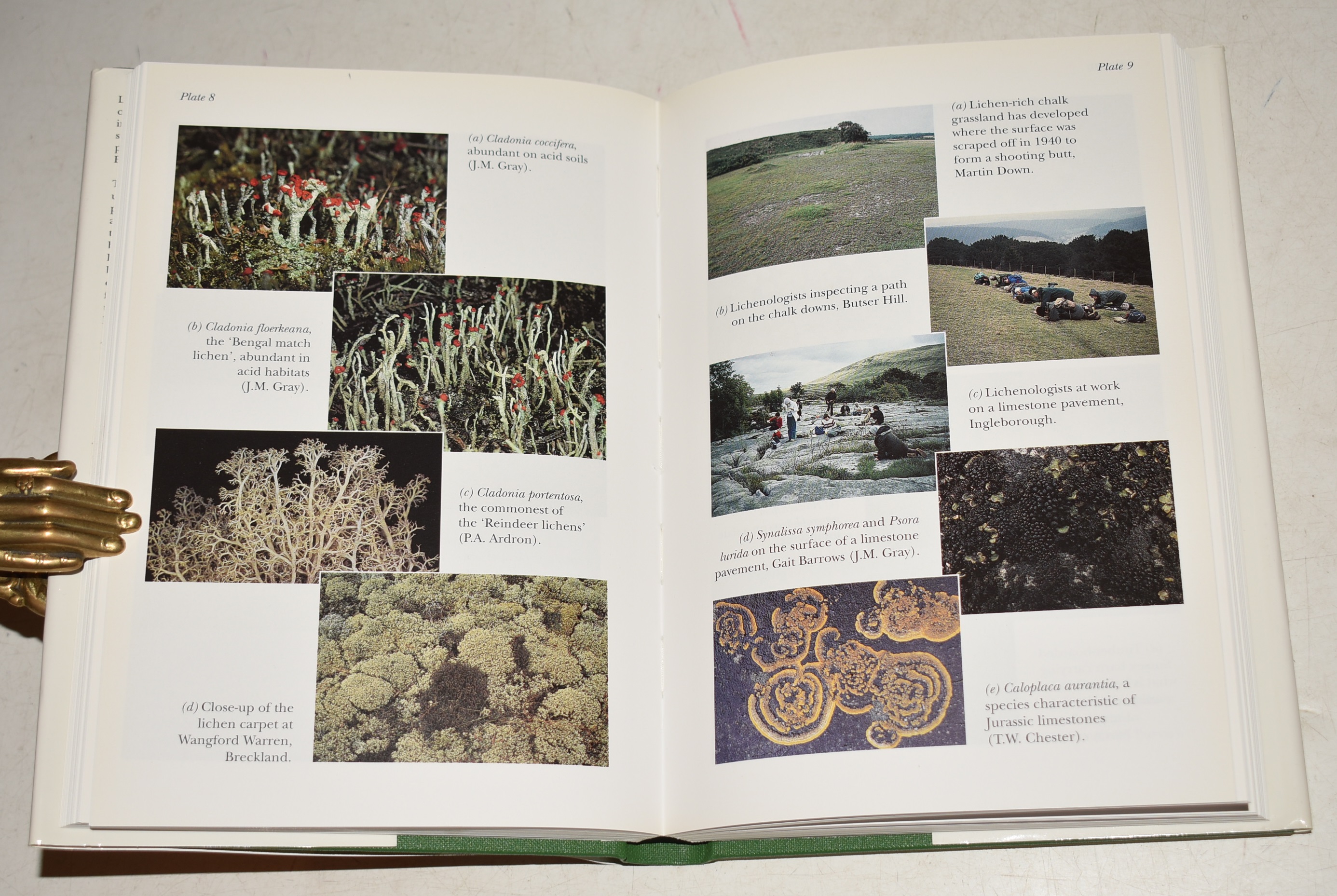 Lichens (86) (The New Naturalist 86).