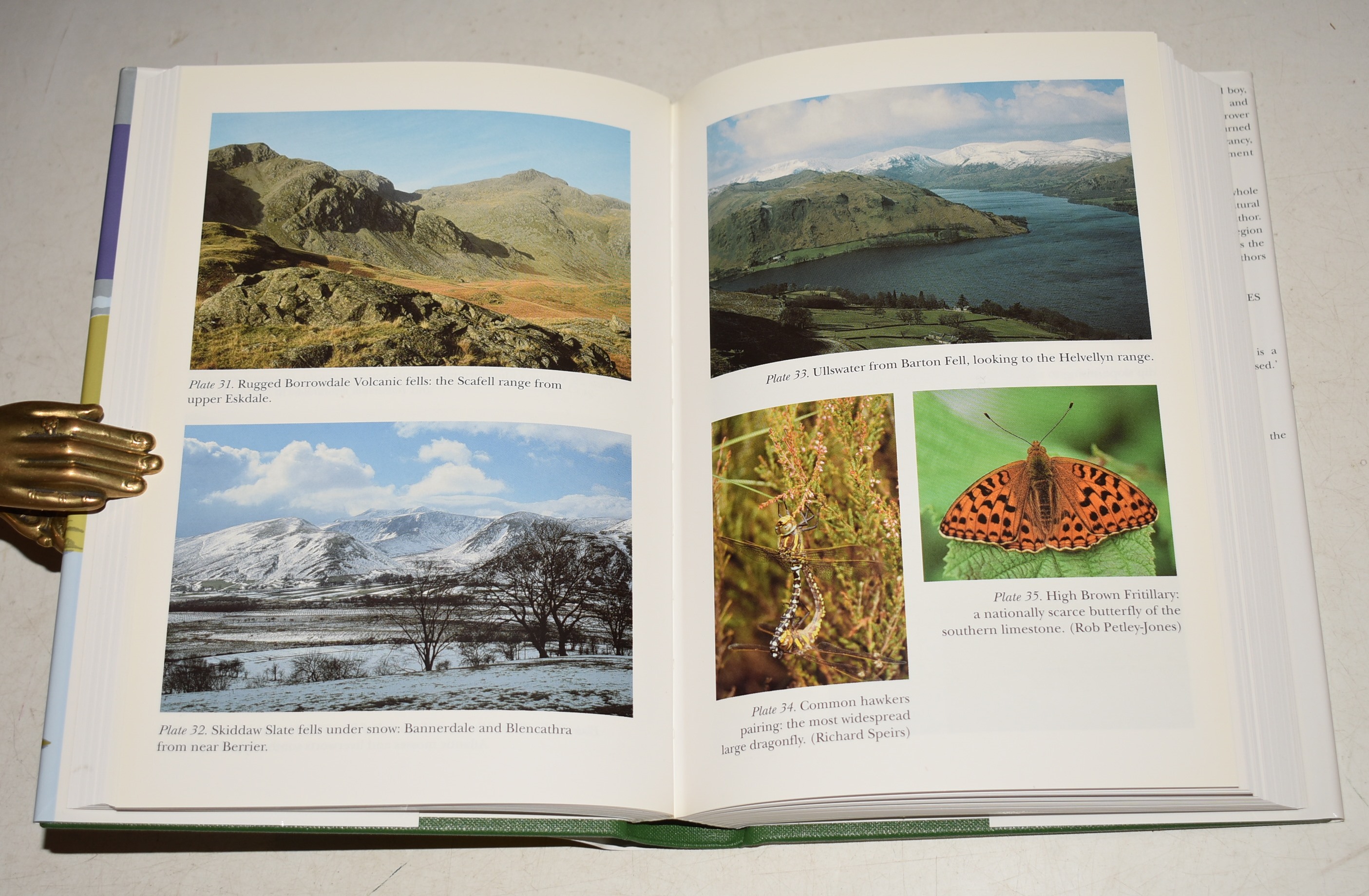Lakeland. The Wildlife of Cumbria. (92) (The New Naturalist 92 ).