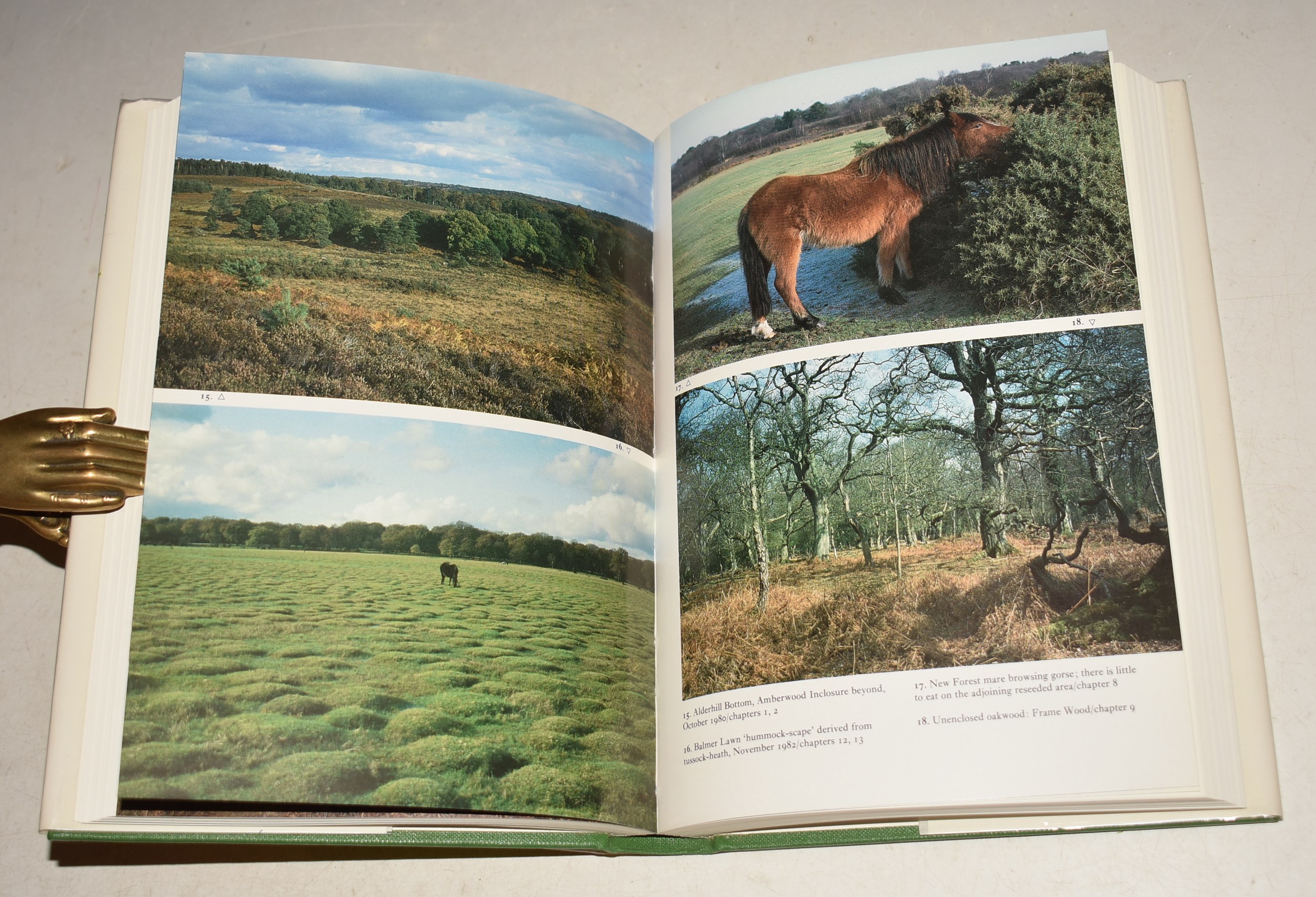 The New Forest. (73) (The New Naturalist 73).