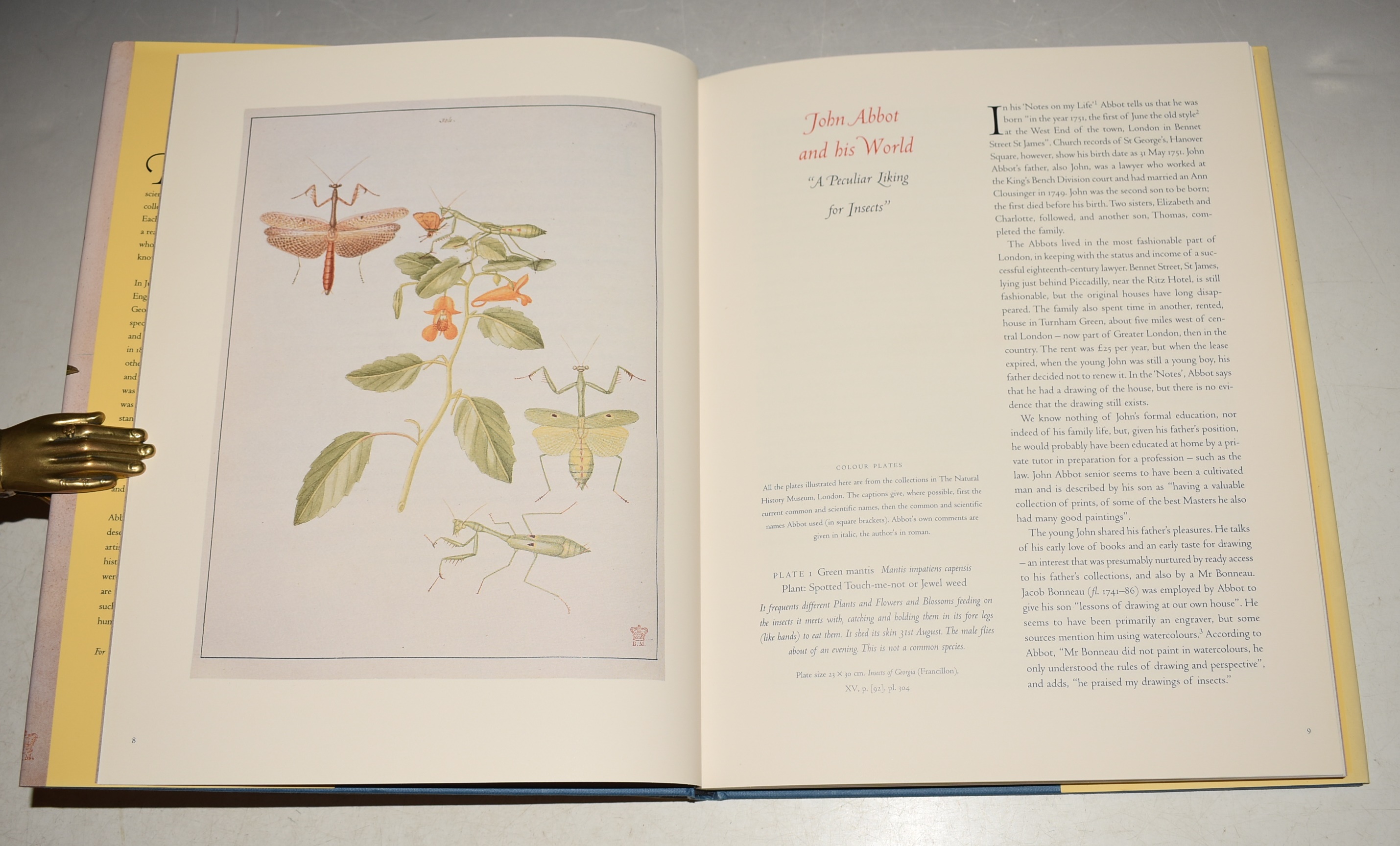 Birds, Butterflies and Other Wonders