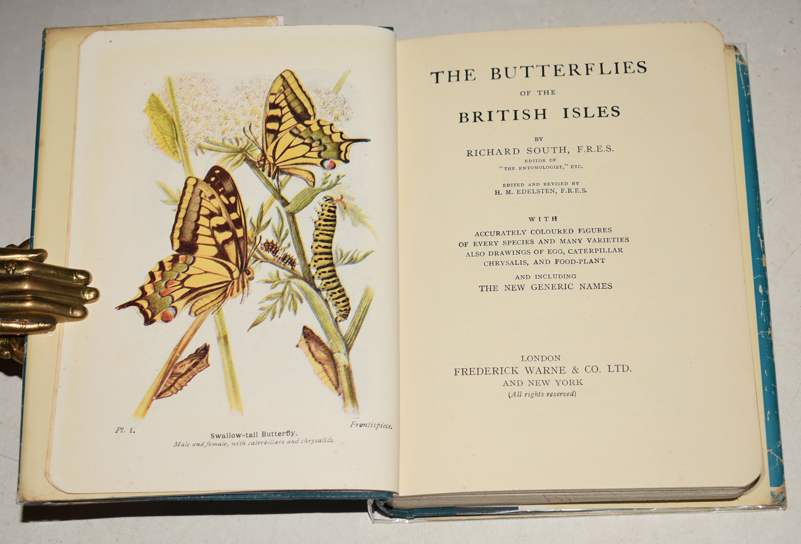 The Butterflies of the British Isles. The Wayside and Woodland Series. With accurately coloured figures of every species and many varieties also drawings of Egg, Caterpillar, Chrysalis, and Food-Plant.