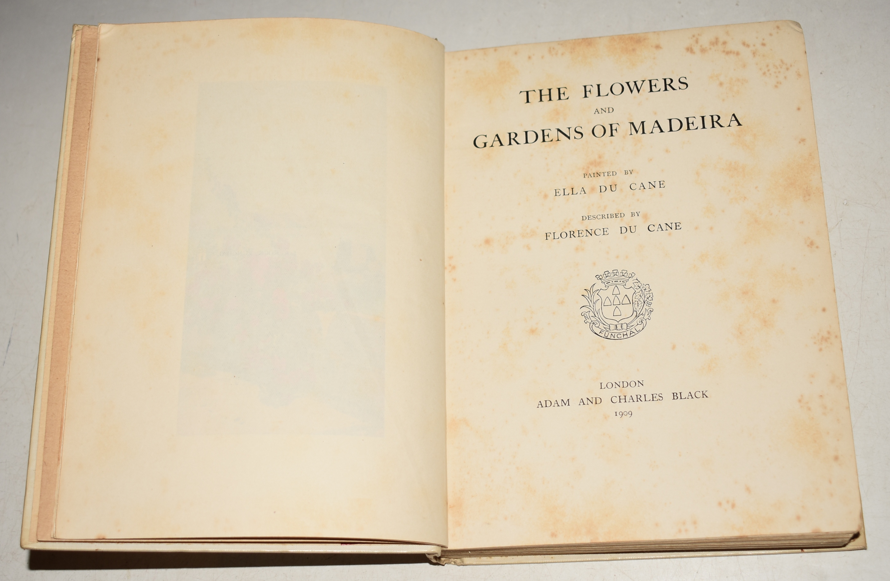 The Flowers and Gardens of Madeira Painted by Ella Du Cane, Described by Florence Du Cane