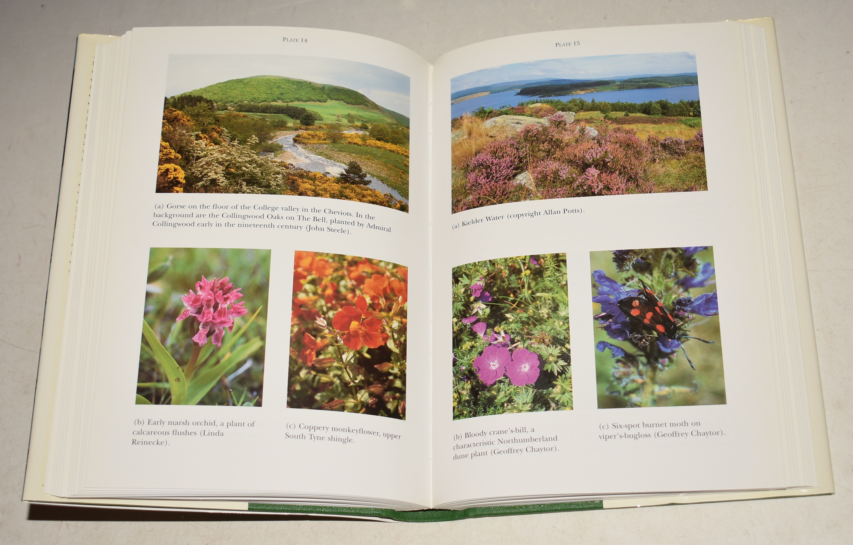 Northumberland. (95) (The New Naturalist 95). With Alston Moor.