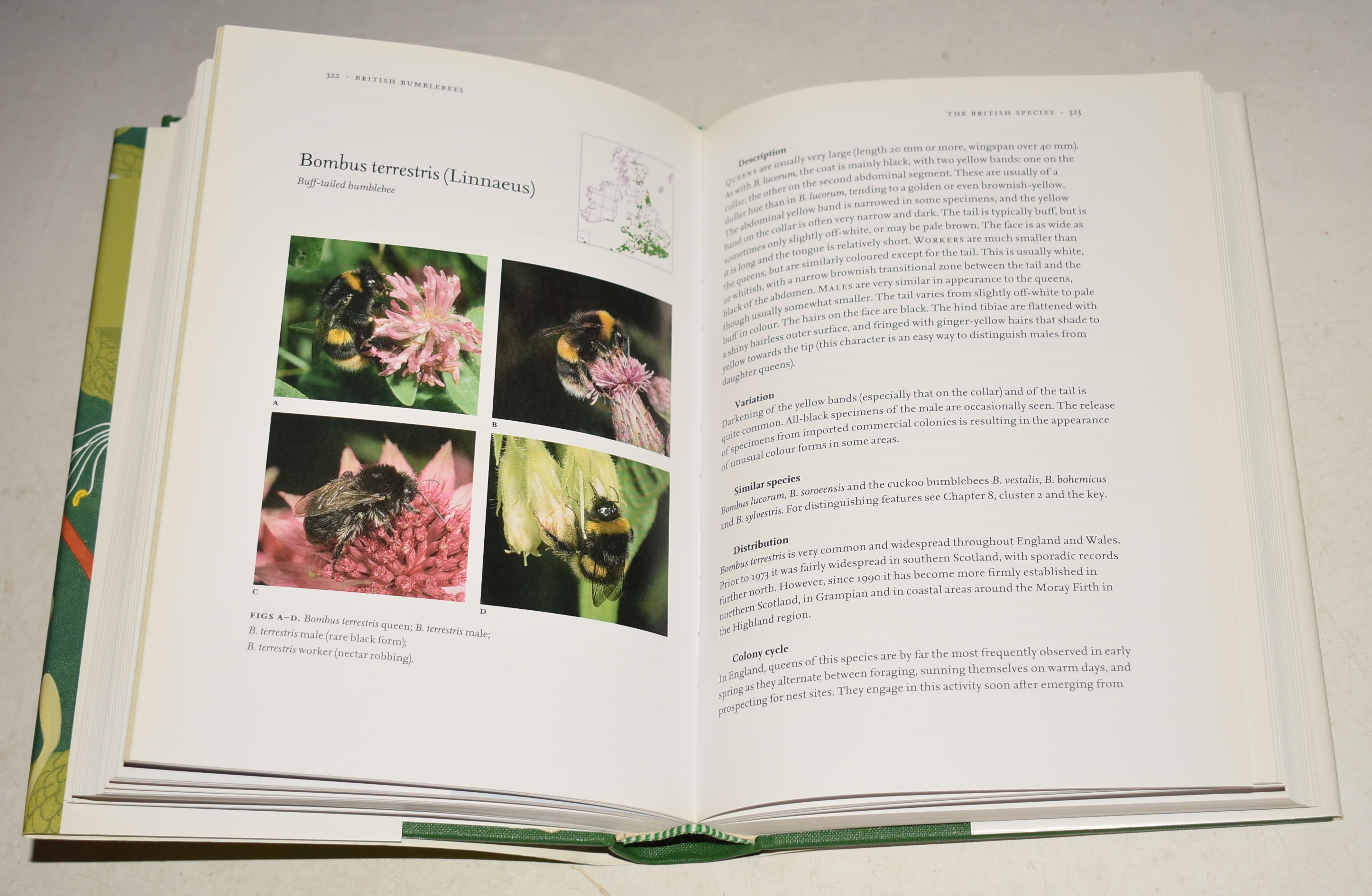 Bumblebees. (98) (The New Naturalist 98).
