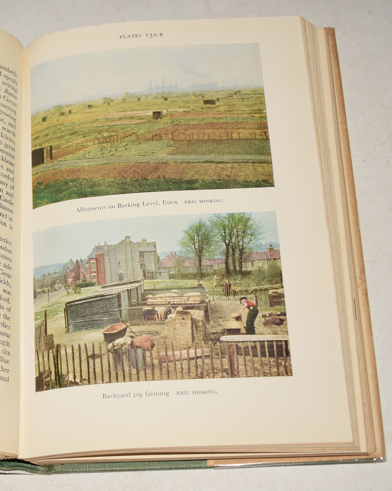 London's Natural History. (3) (The New Naturalist 3). With 52 colour photographs by Eric Hosking and others, 41 black and white photographs and 12 maps and diagrams.