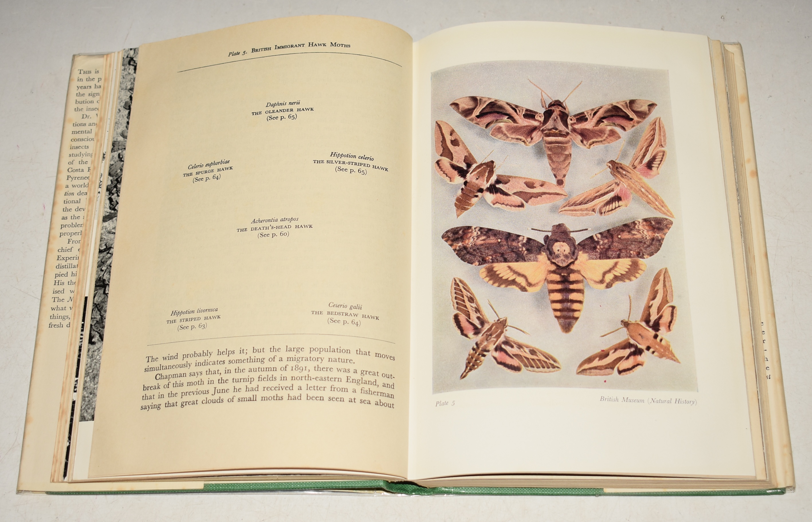 Insect Migration. (36) The New Naturalist 36