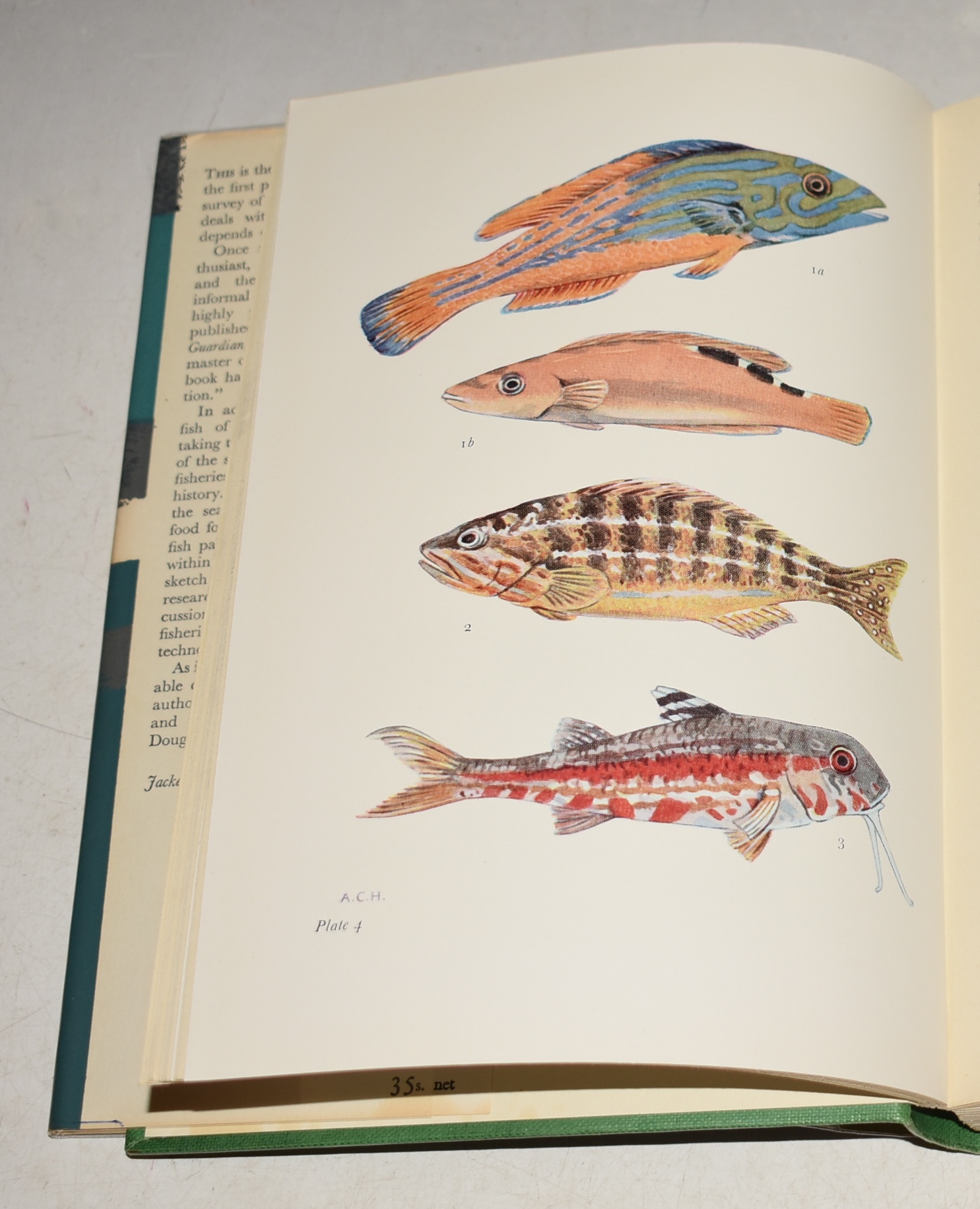 The Open Sea II: Fish & Fisheries. (37) (The New Naturalist 37).
