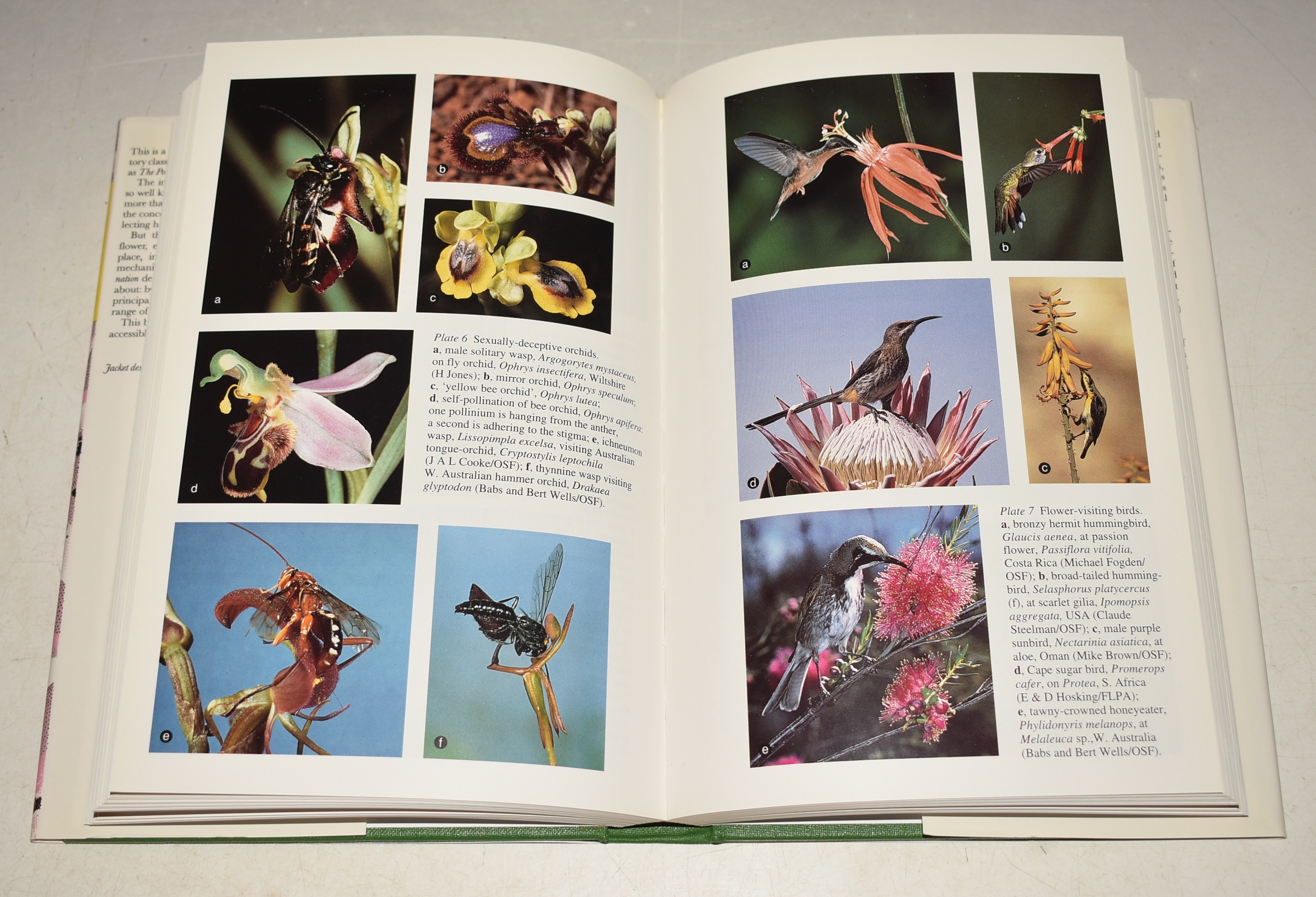 The Natural History of Pollination (83) (The New Naturalist No. 83).