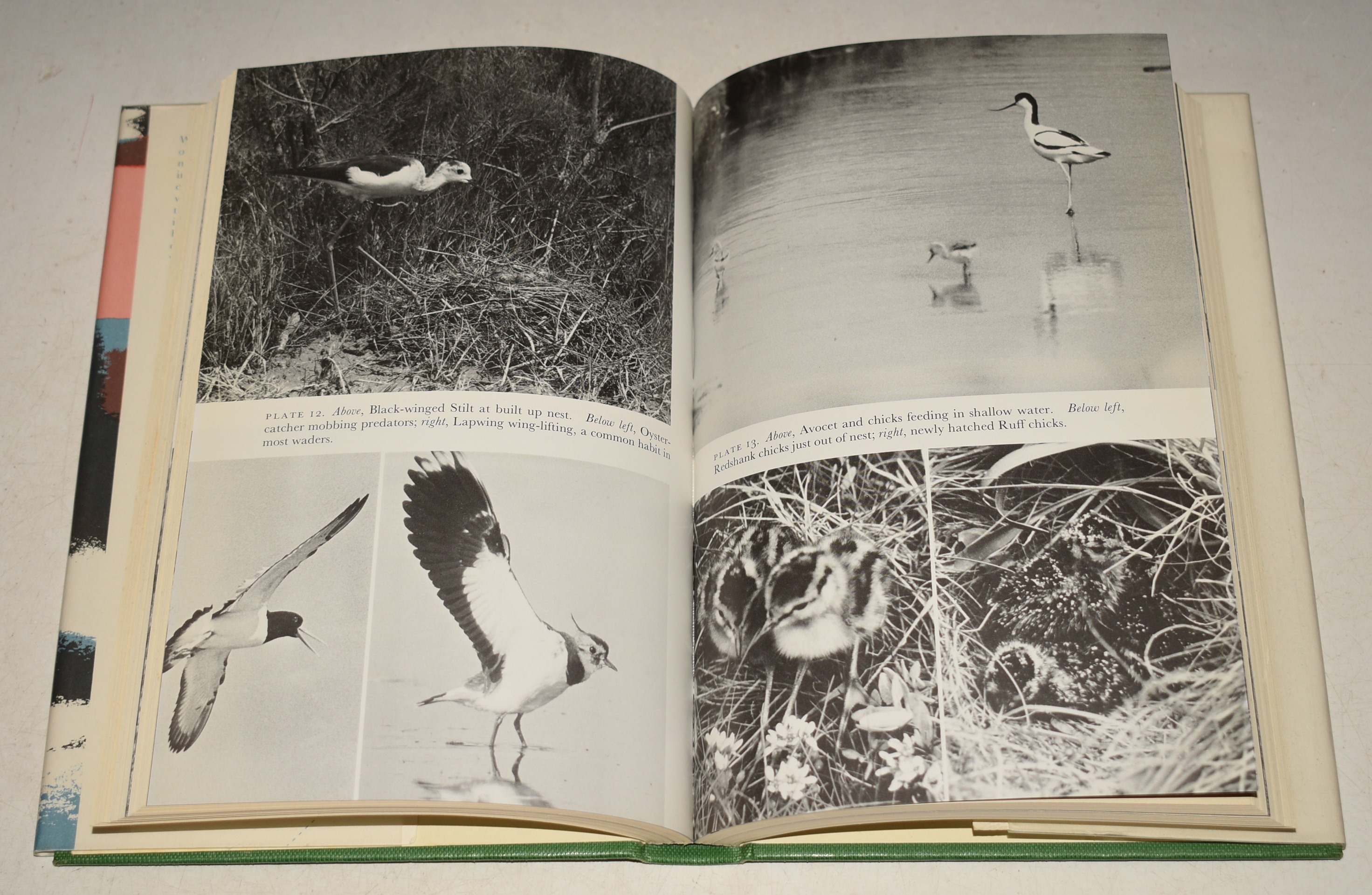 Waders. (65) (The New Naturalist 65).