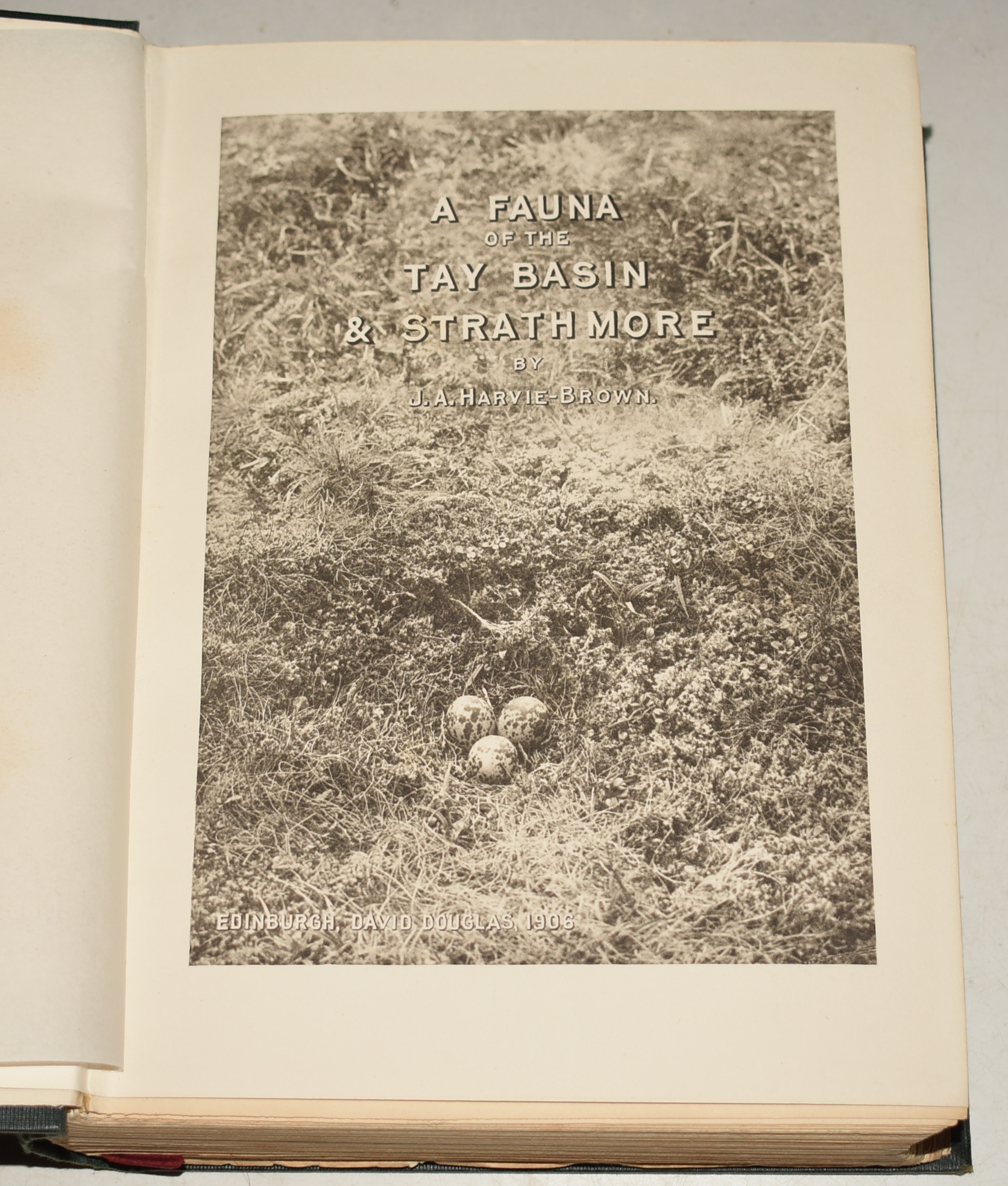A Fauna of The Tay Basin and Strathmore (A Vertebrate Fauna of Scotland)