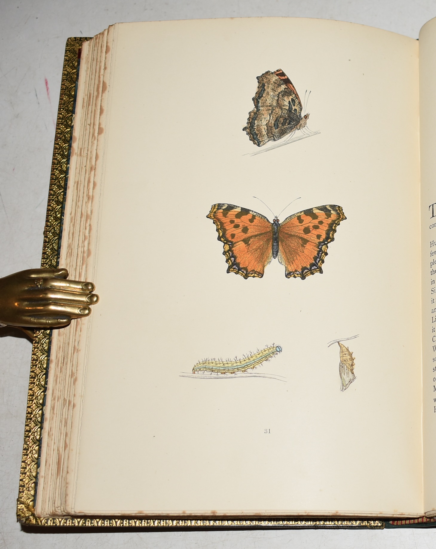 A History of British Butterflies. Eighth Edition, With Seventy-Nine Plates, Coloured by Hand. In Two Volumes.