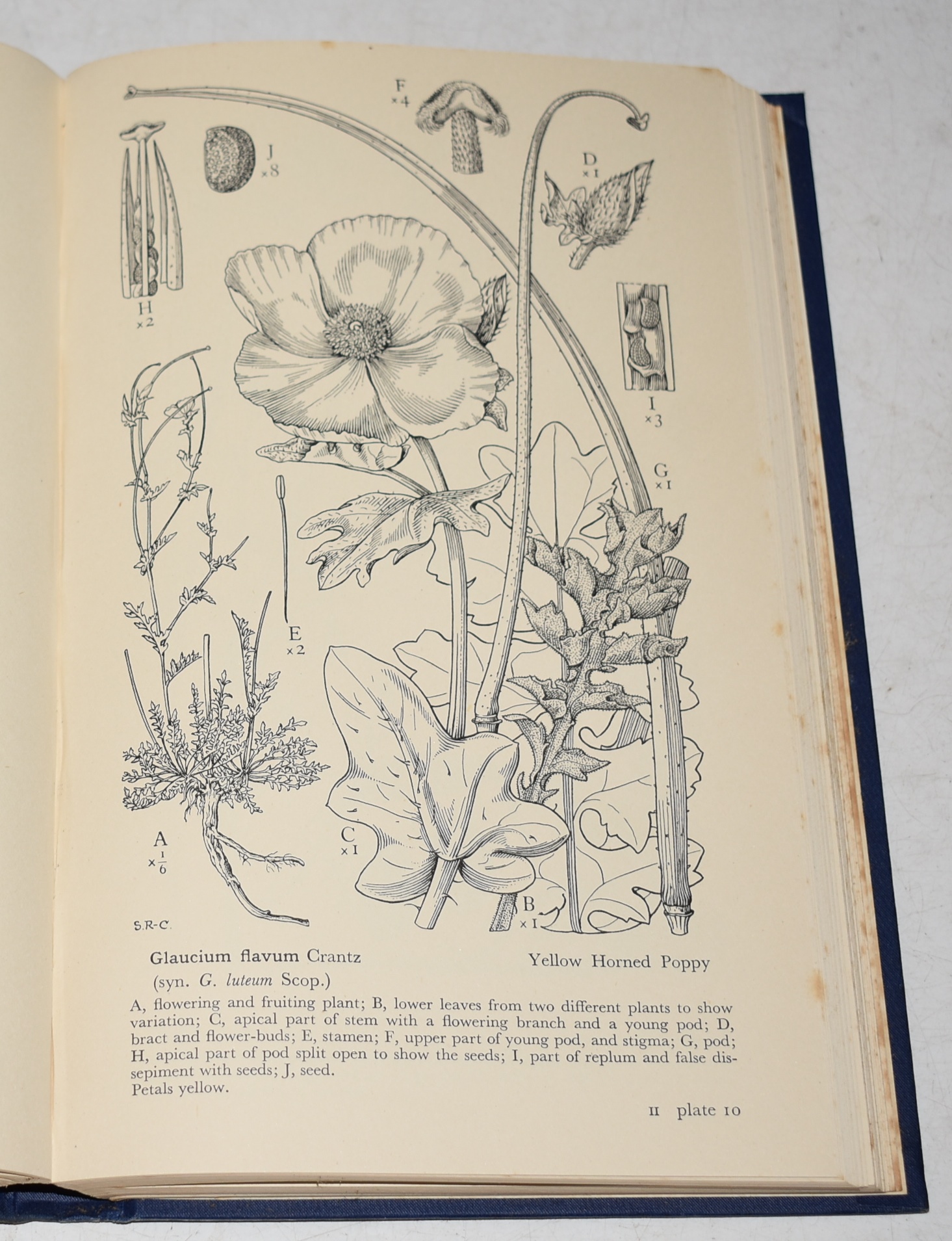 Drawings of British Plants. Being Illustrations of the species of Flowering Plants Growing Naturally in the British Isles. Complete In 31 PArts.