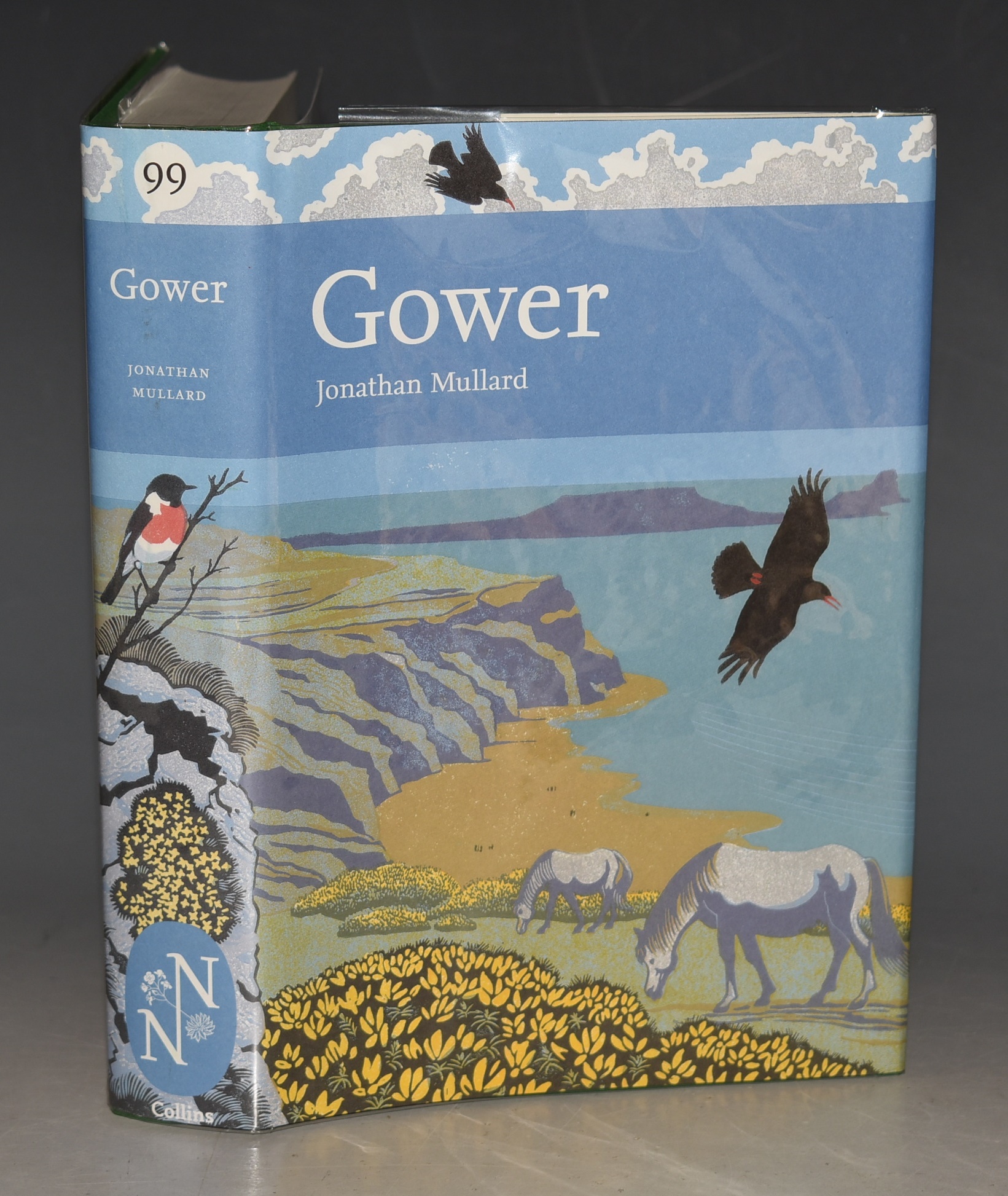Gower. (99) (New Naturalist 99)