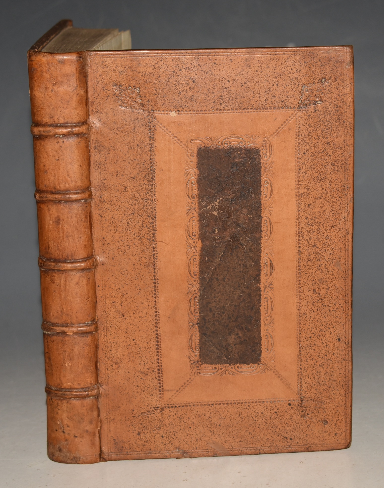 Antiquitates Prioratus Majoris Malverne In Agro Wicciensi. Cum Chartis Originalibus Easdem Illustrantibus, ex Registris Sedis Episcopalis Wigorniensis Nunc Primum Editis.