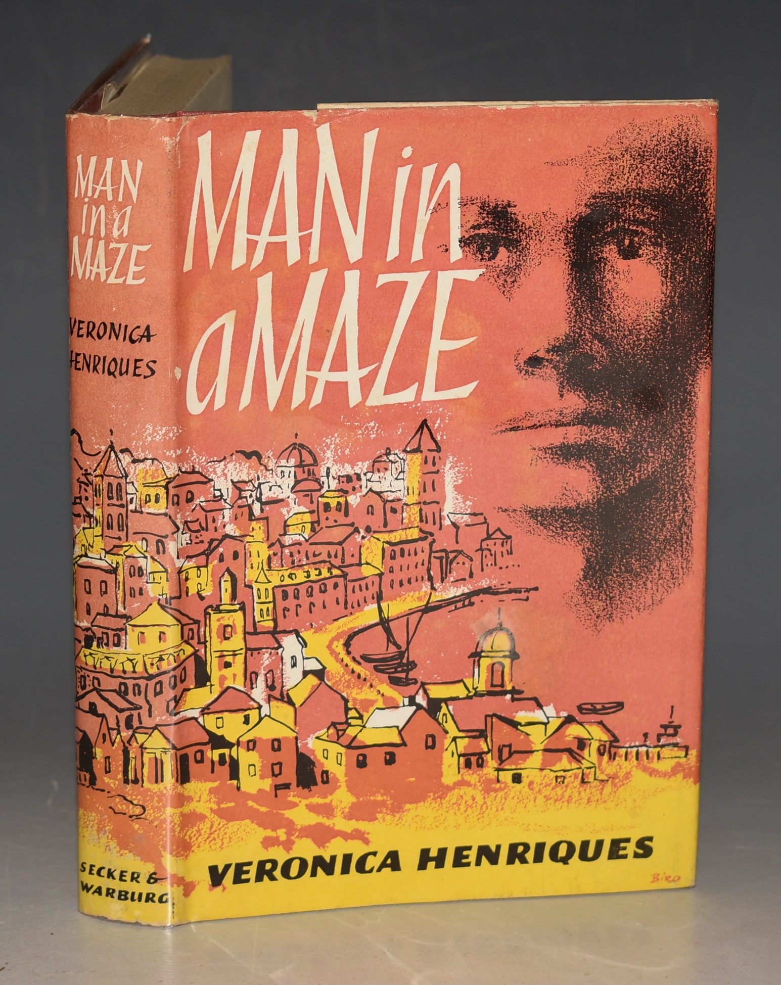 Man in a Maze