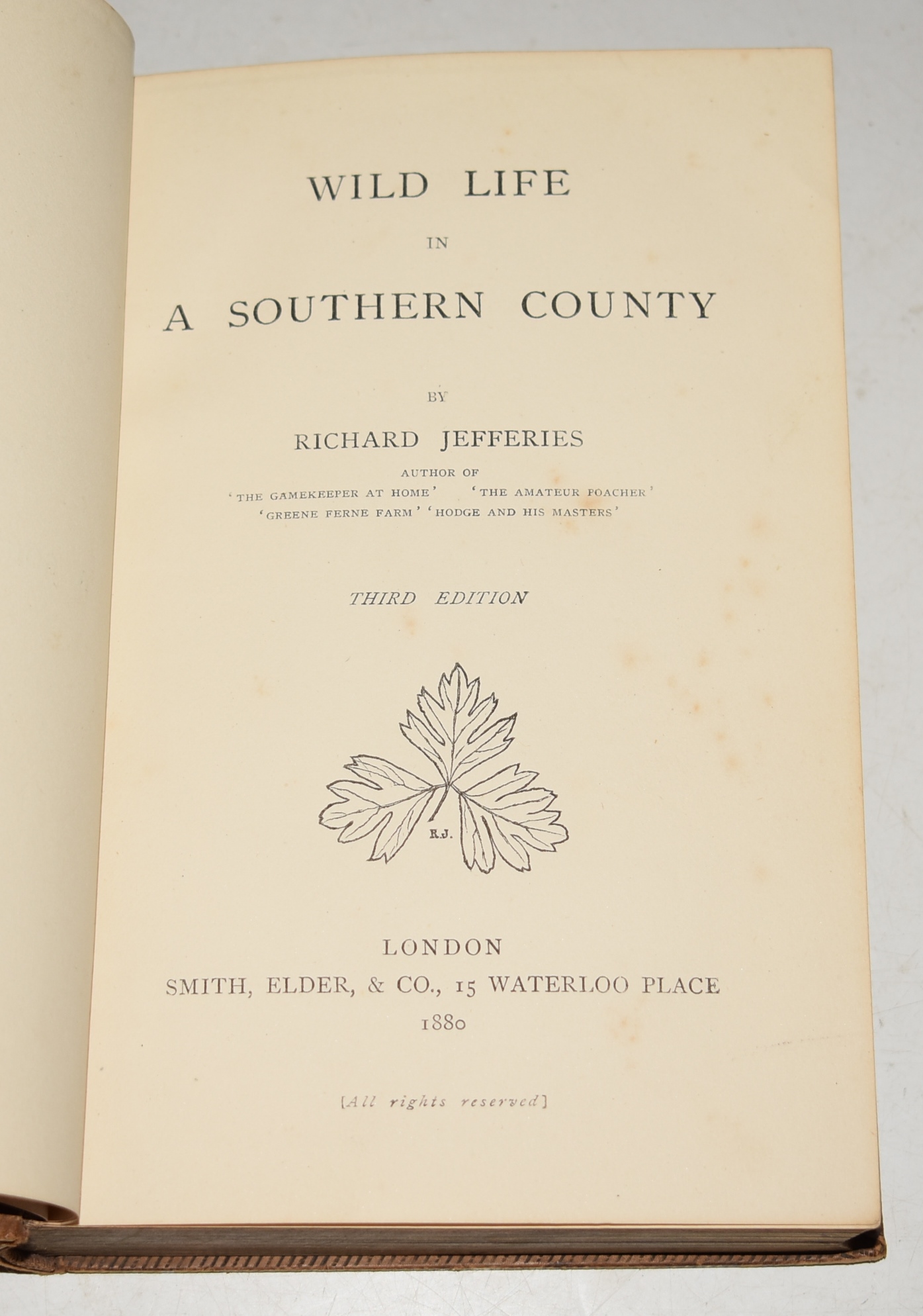 Wild Life in a Southern County. By the Author of ‘The Gamekeeper at Home.’ Third Edition.