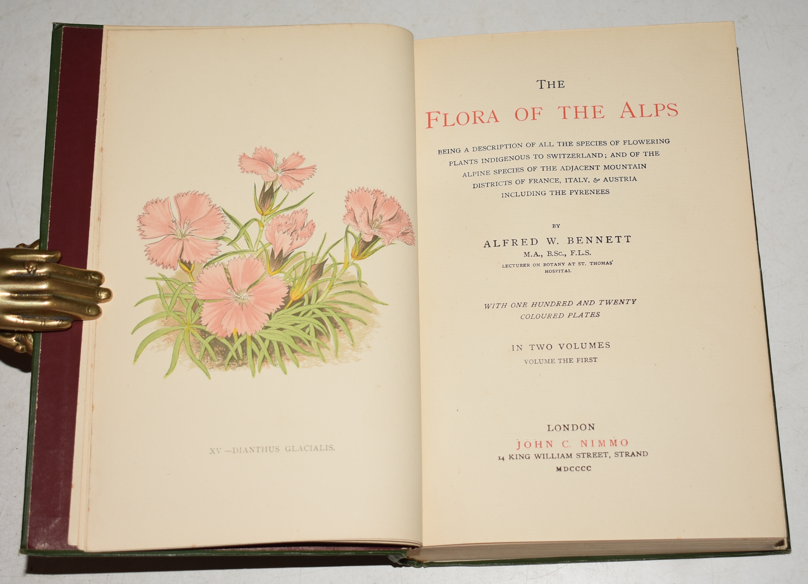 The Flora of The Alps Being a Description of all the species of the flowering plants indigenous to Switzerland; and of the Alpine species to the adjacent mountain districts of France, Italy, & Austria including the Pyrenees. With One Hundred and Twenty Coloured Plates. In Two Volumes.