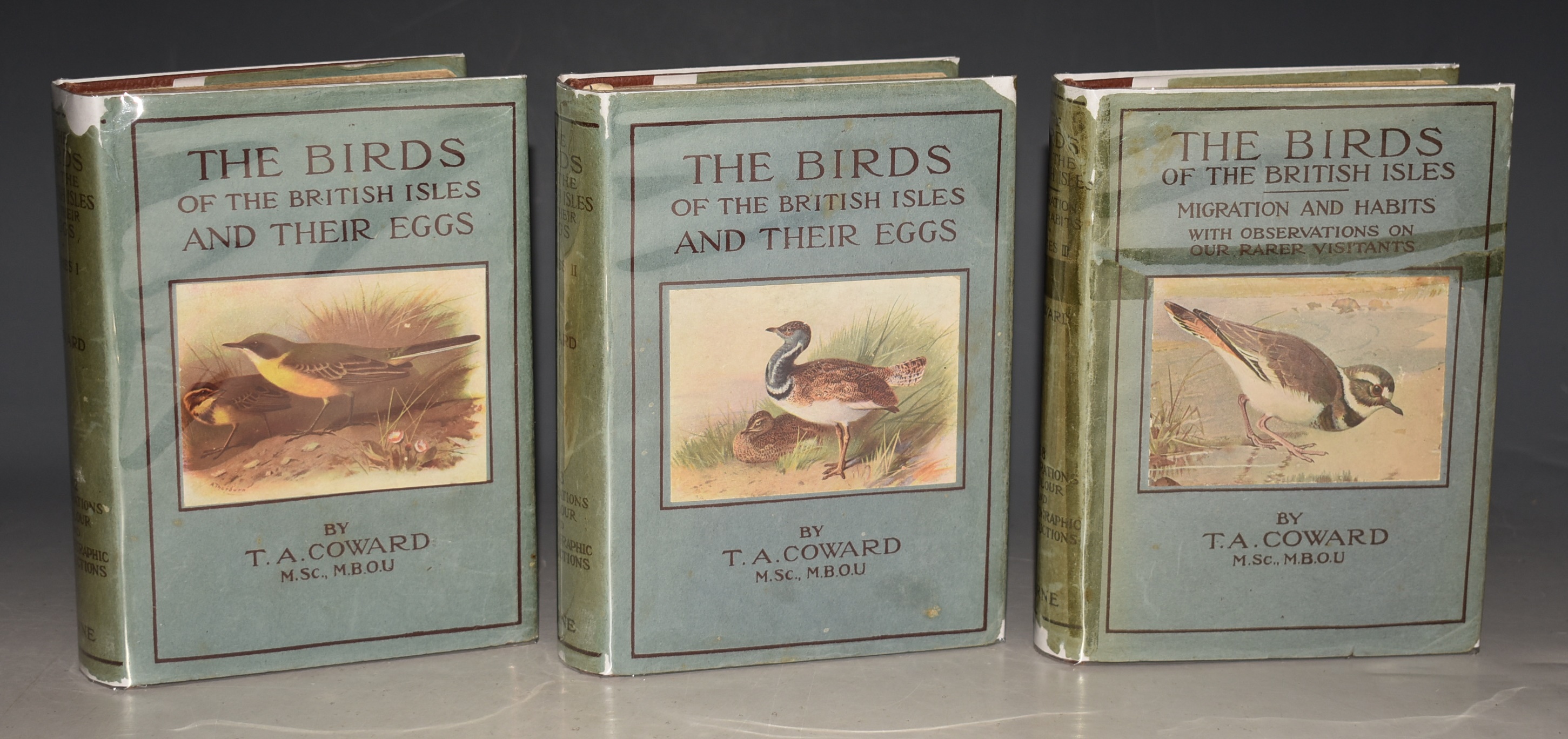 The Birds Of The British Isles And Their Eggs. SERIES I, II & II. COMPLETE. The Families Corvidae To Phoenicopteridae; The Families Anatidae To Phasianidae; Their Migration And Habits And Observations On Our Rarer Visitants. The Wayside & Woodland Series. In Three Volumes.