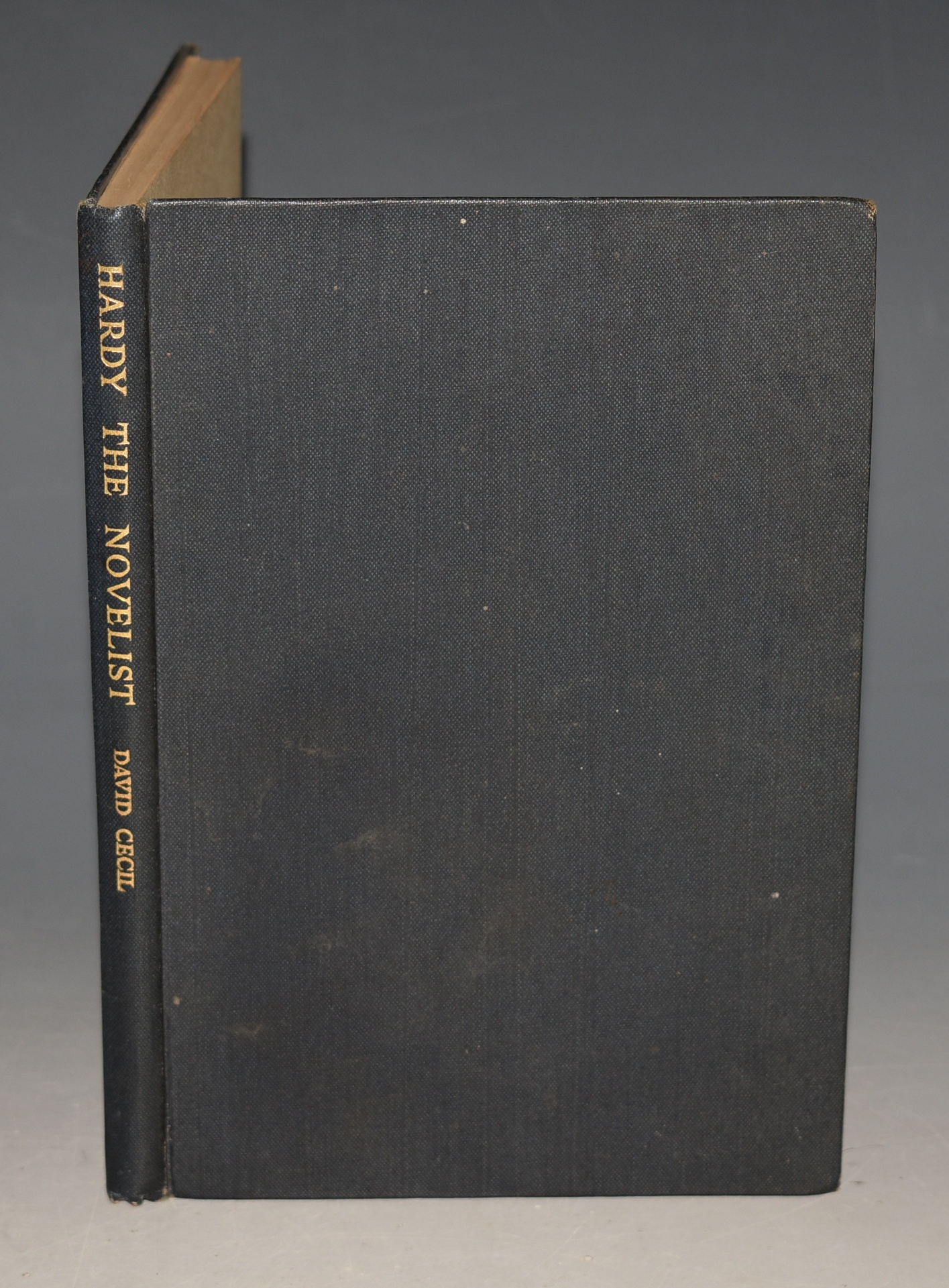Hardy the Novelist. An Essay in Criticism.